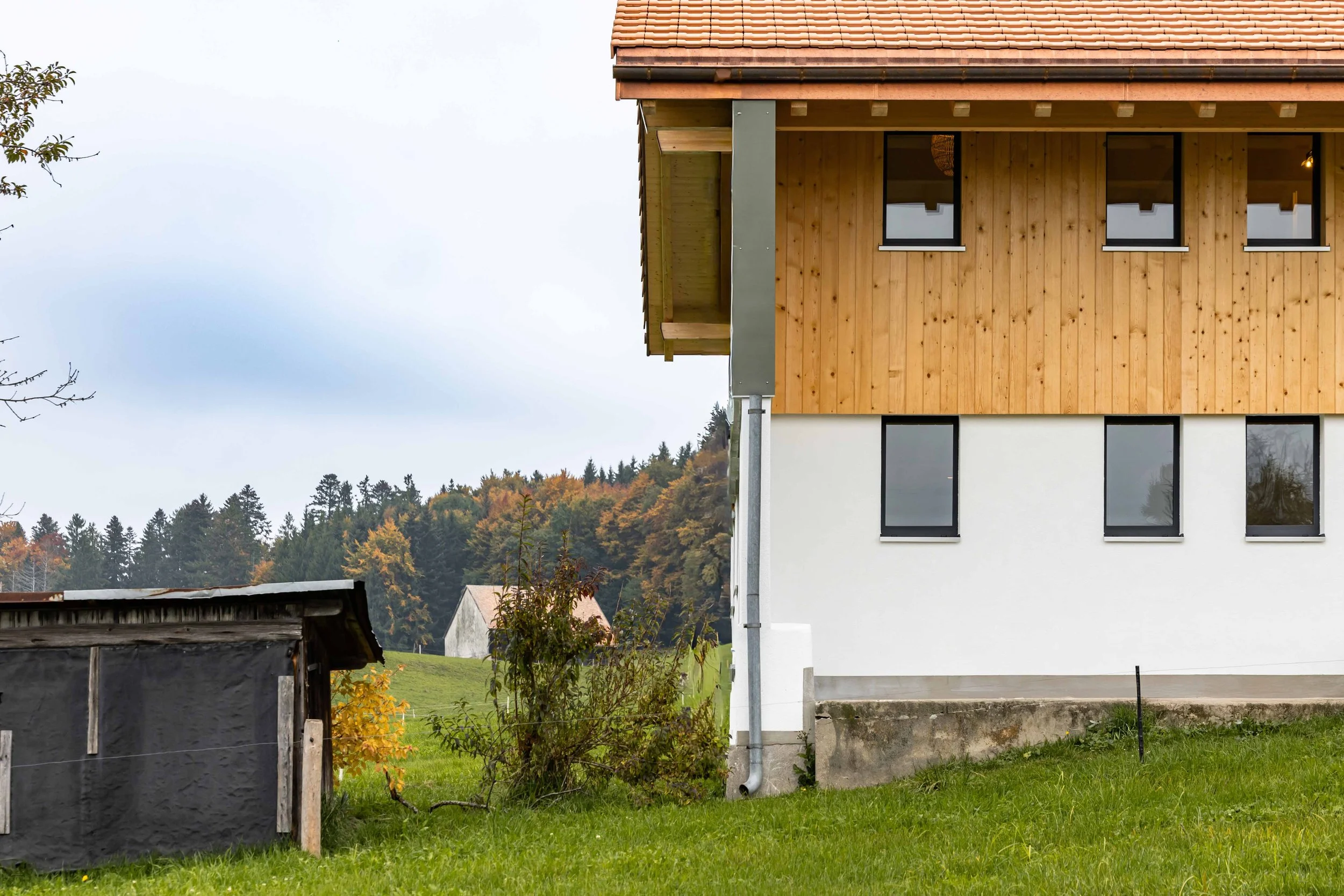 Buchille 33 - WEB-36.jpg