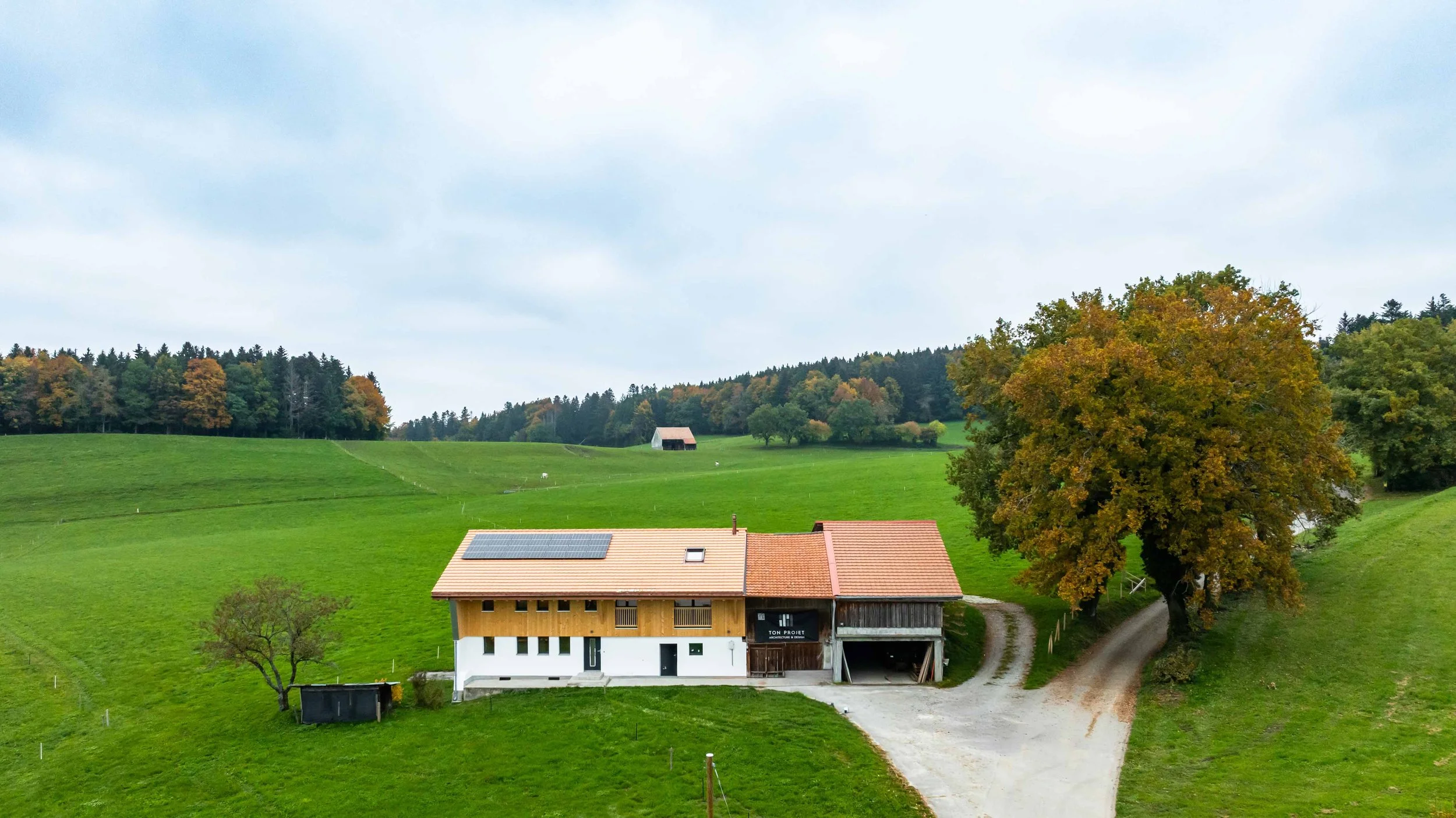 Buchille 33 - WEB-45.jpg