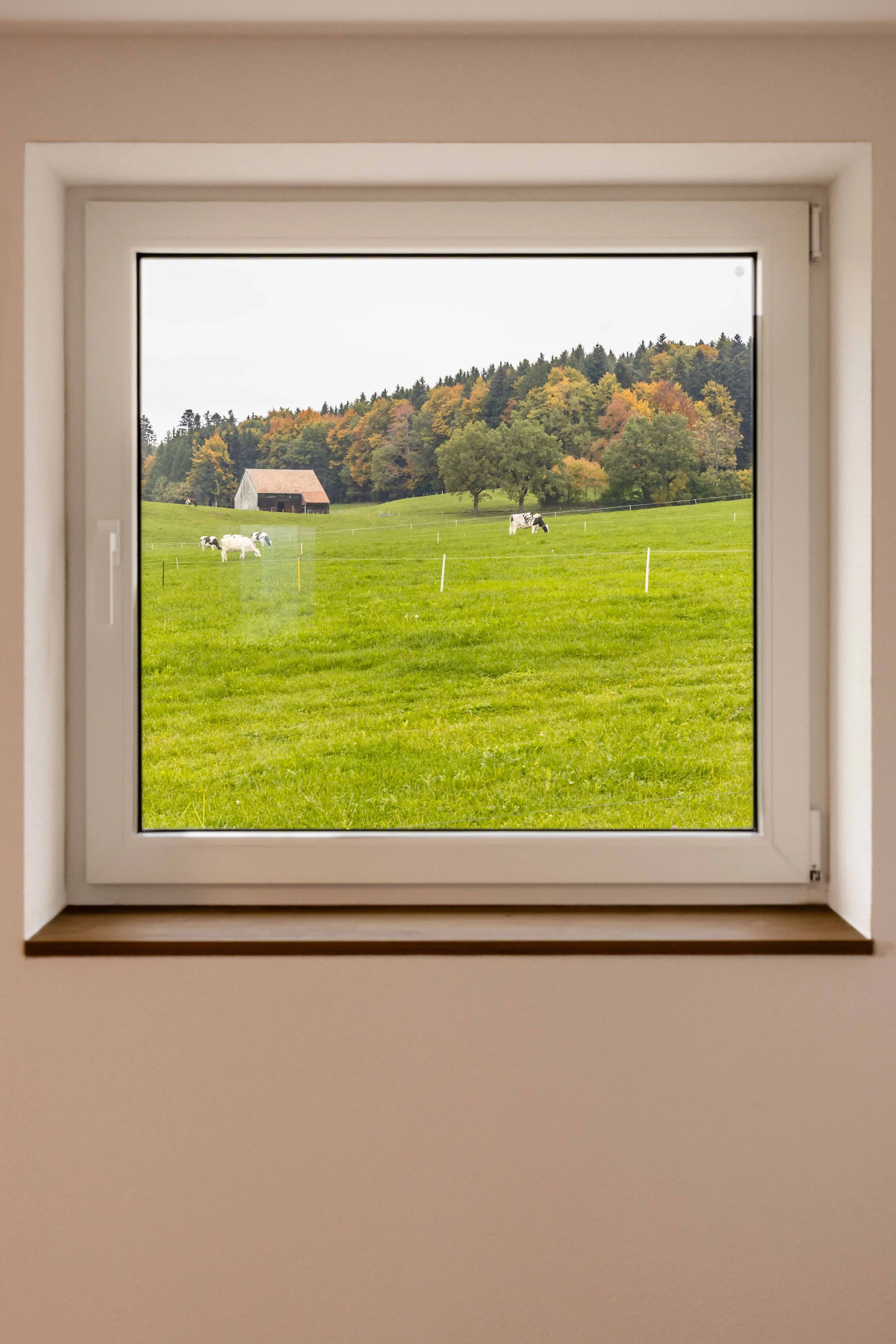 Buchille 33 - WEB-19.jpg