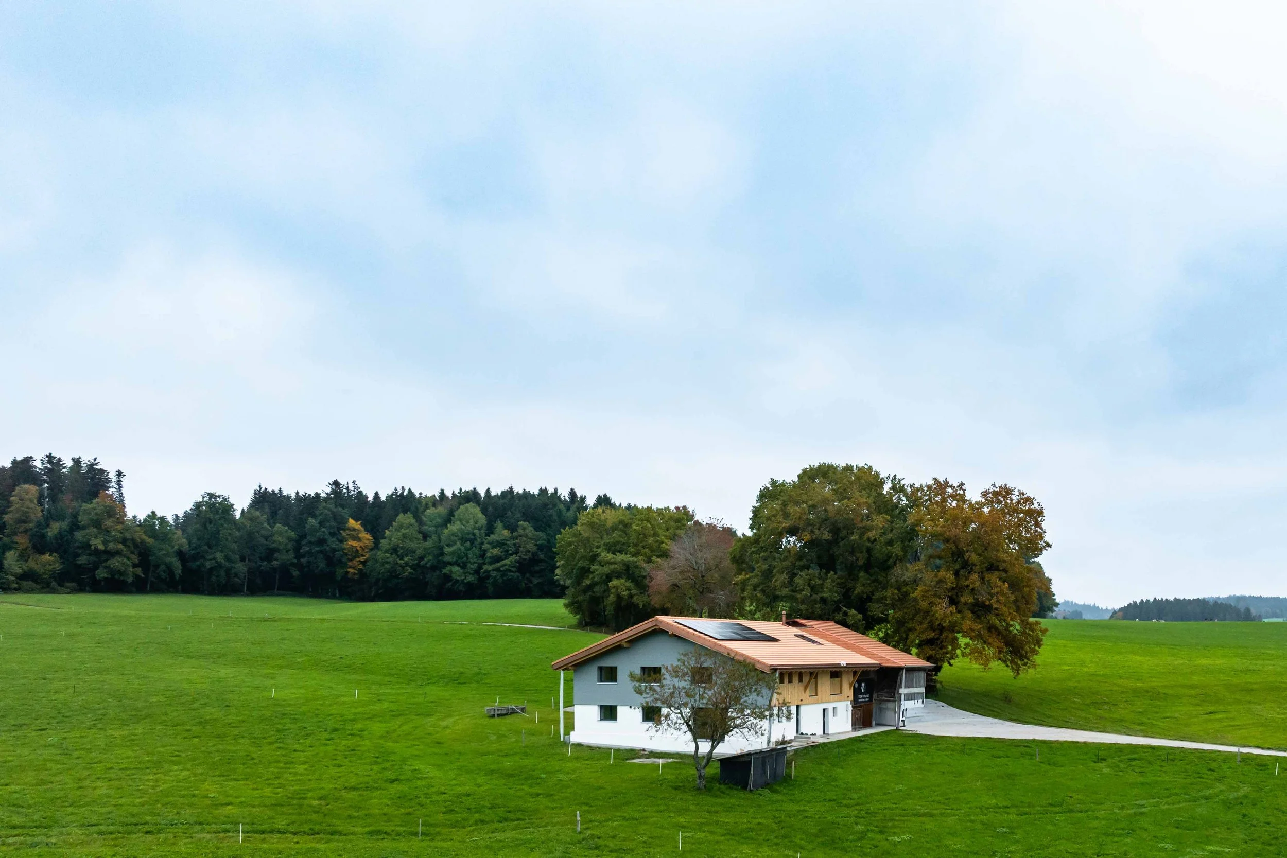 Buchille 33 - WEB-49.jpg