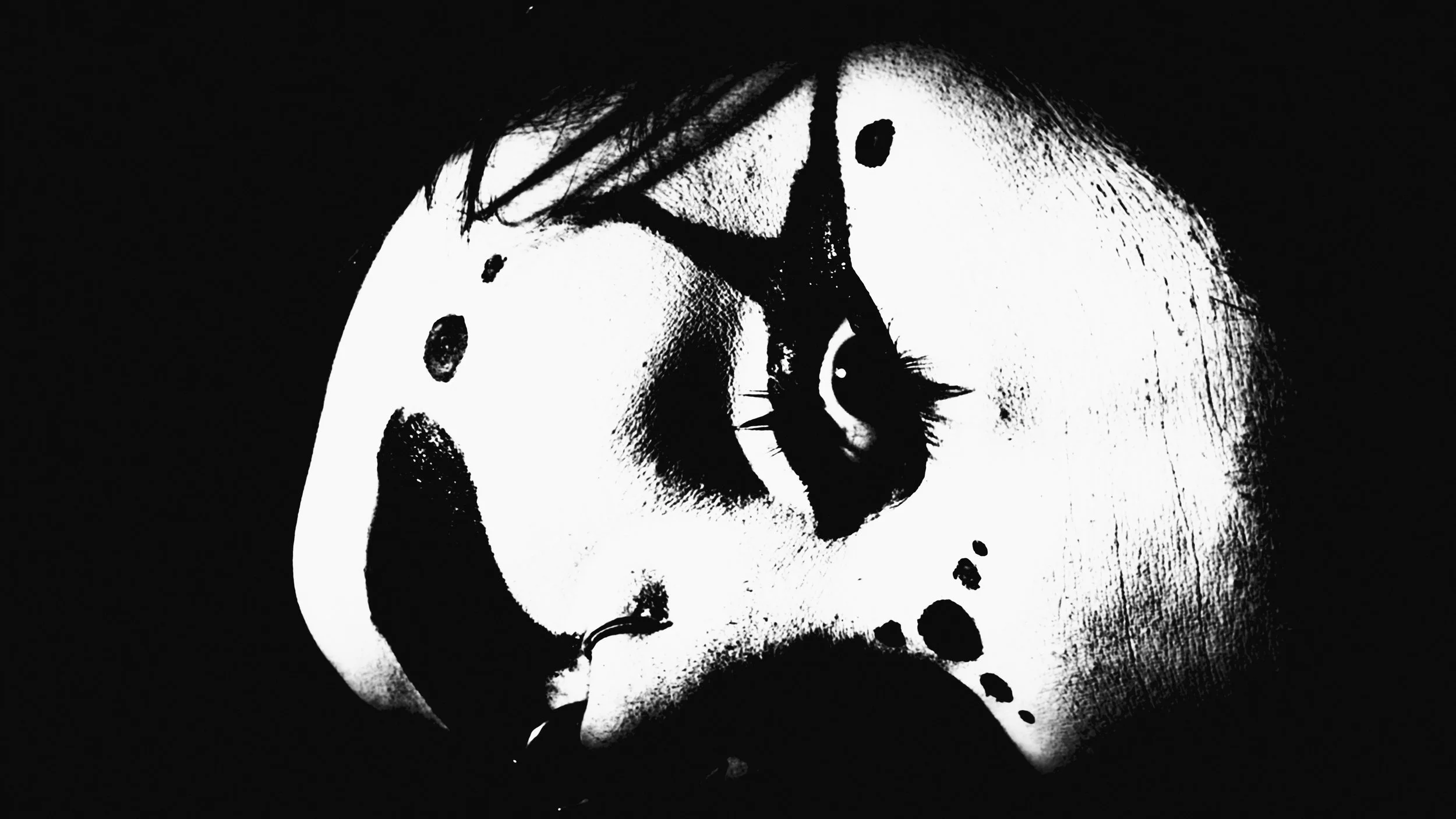 ensaio com kiko — papa monstro