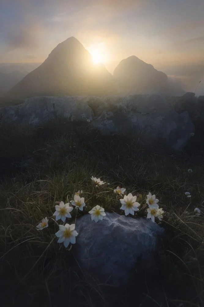 Proposte foto Frizzera - 7.jpg