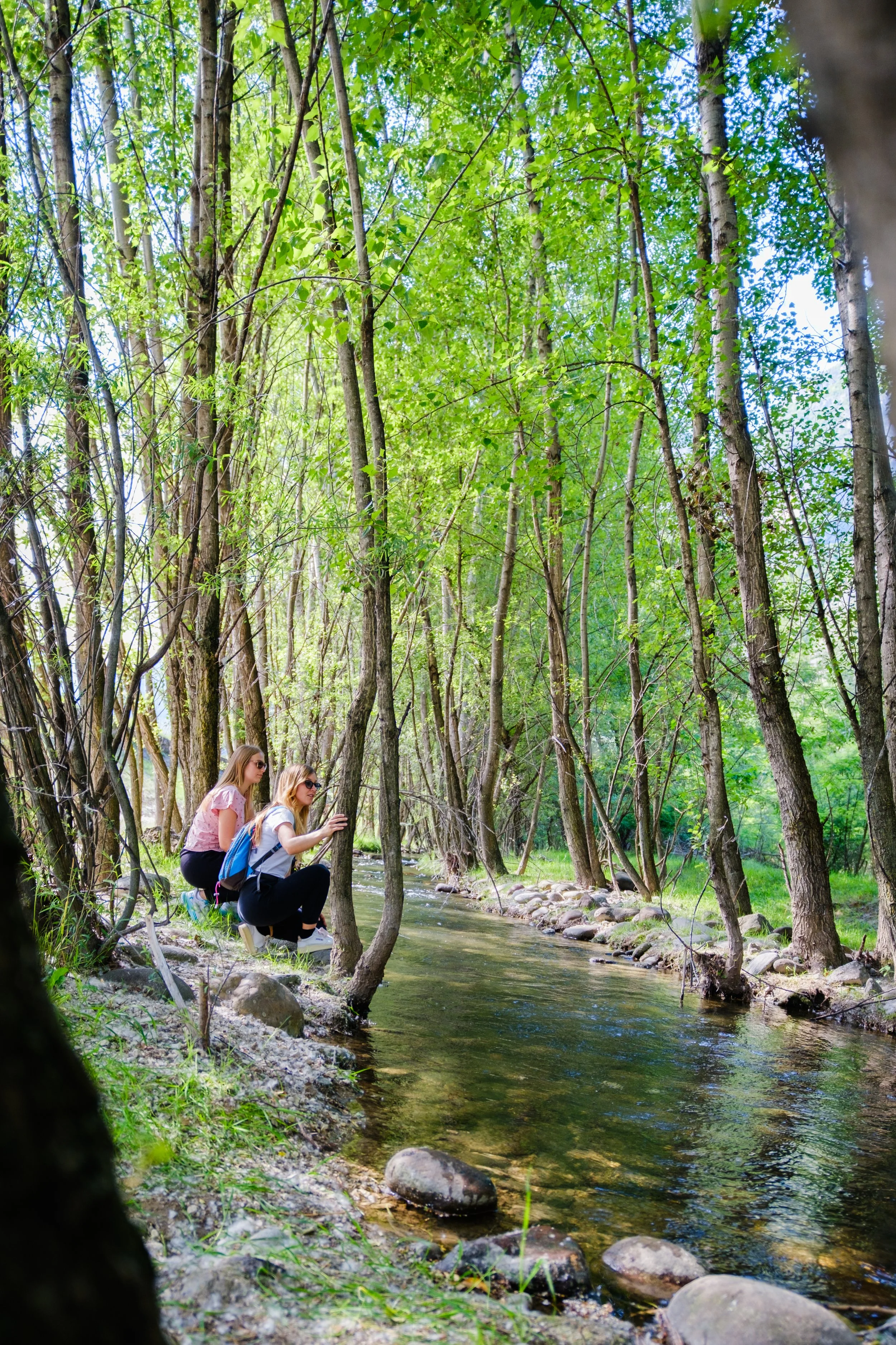 Noce - Frizzera -23.jpg