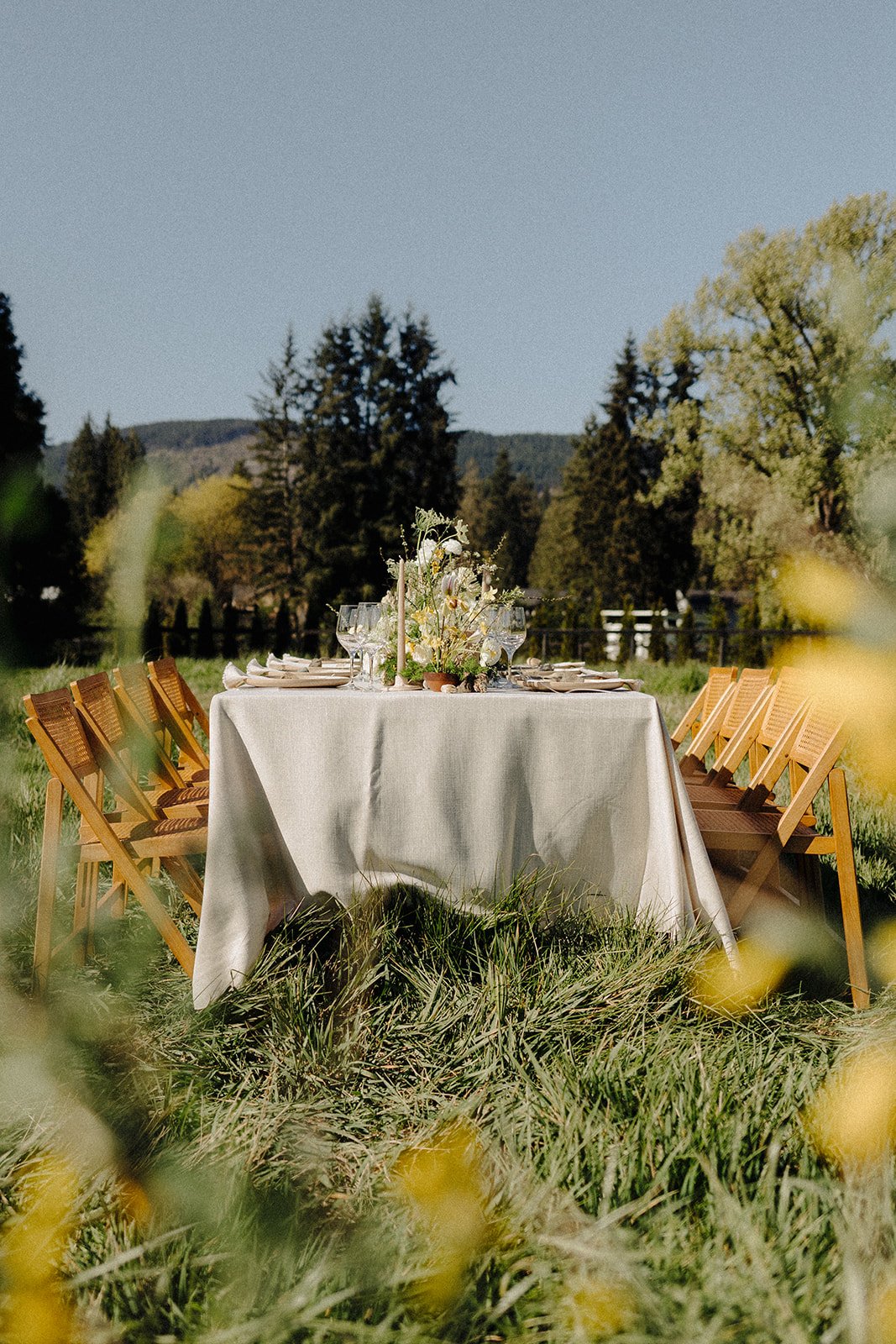 Wedding reception dinner table with candle sticks and wildflower tables cape in a grassy field