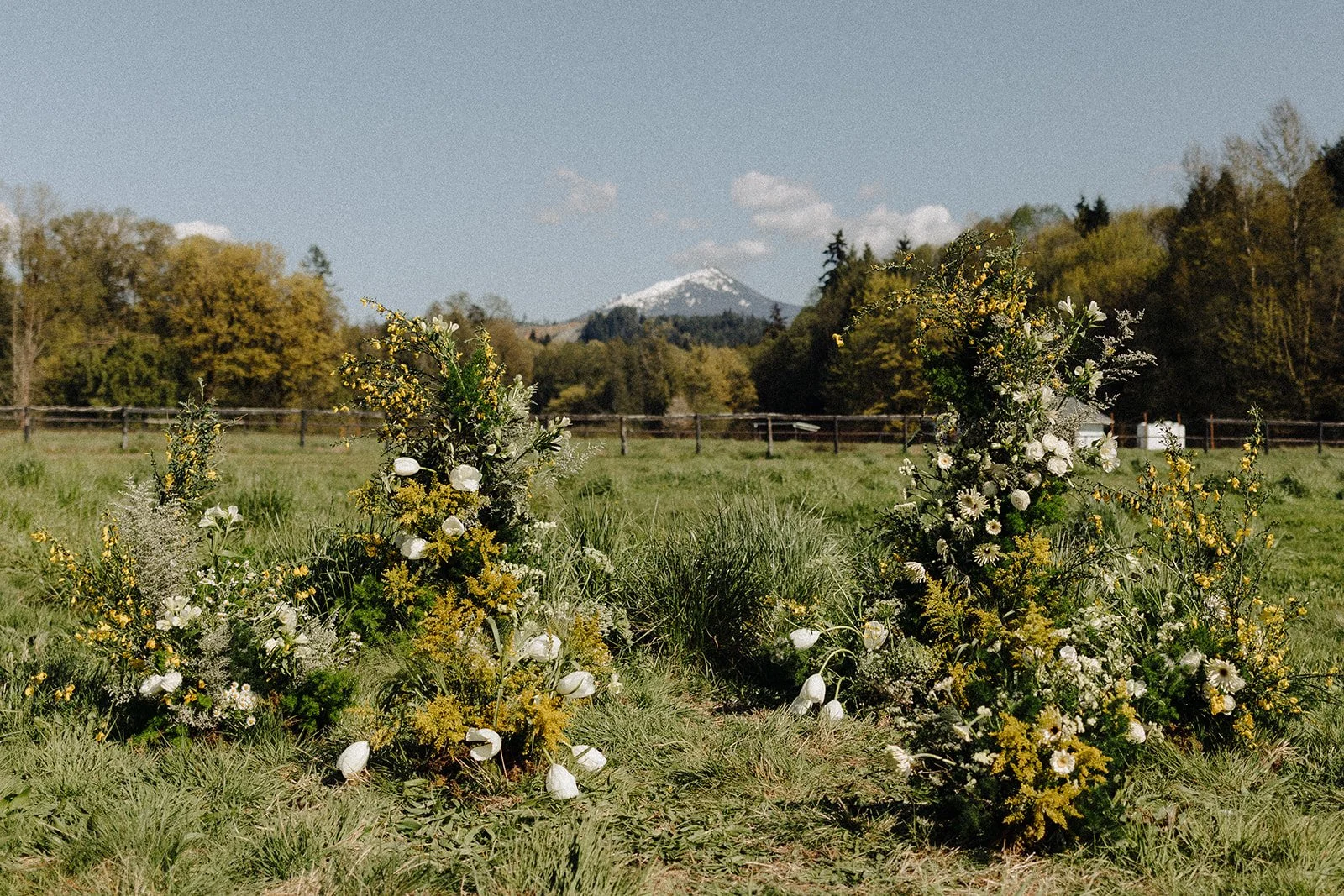Two wedding floral arrangements with white tulips and greenery with yellow accents with at Bannan House Farm