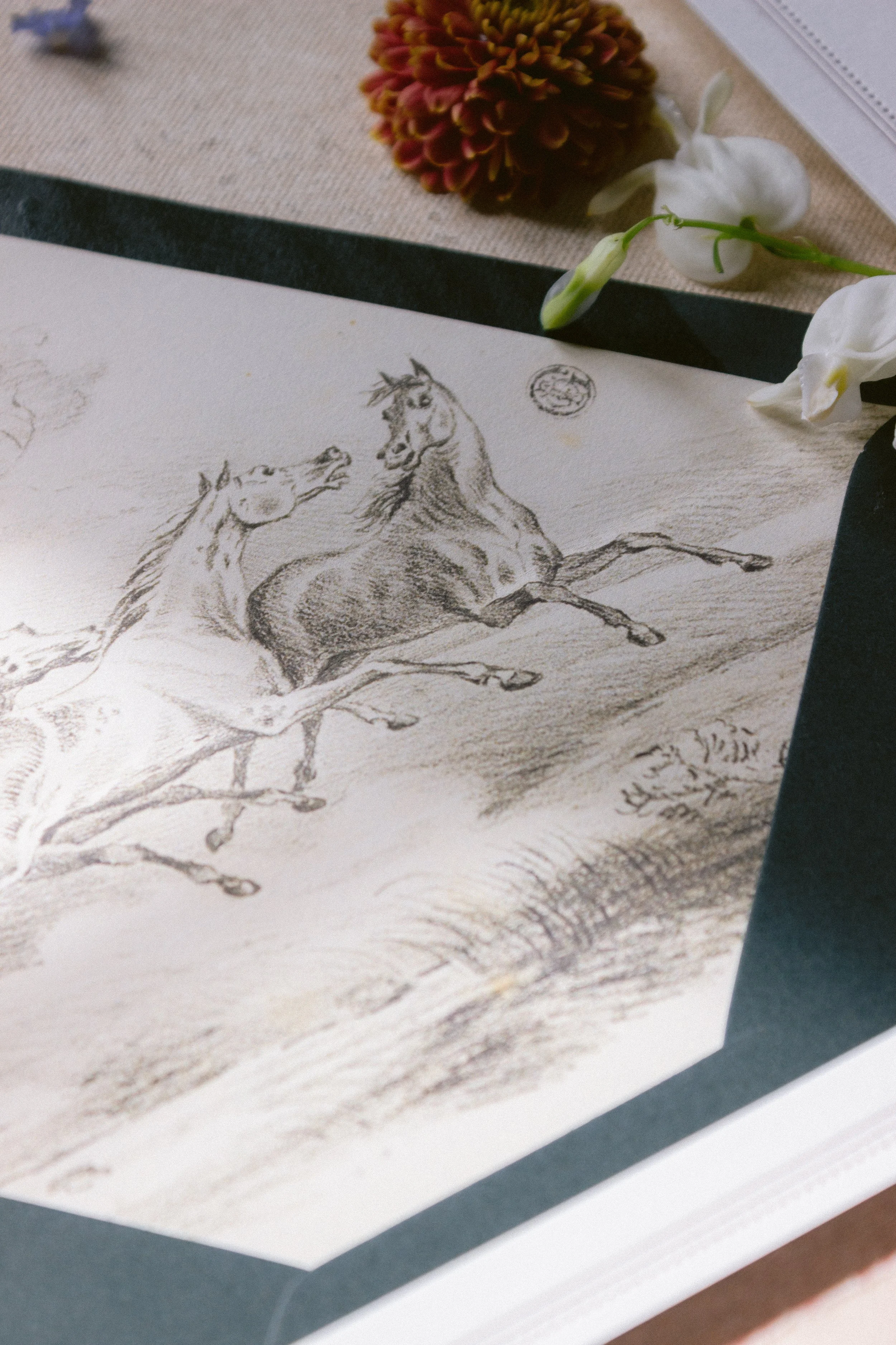 A detailed sketch of two running horses on an envelope liner, with a flower and some greenery placed above it.