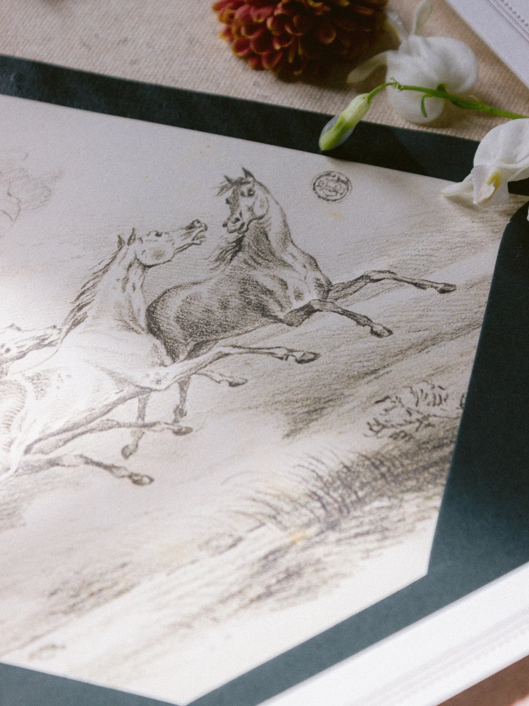 Ralph-lauren-equestrian-wedding-invitation-designer.jpg