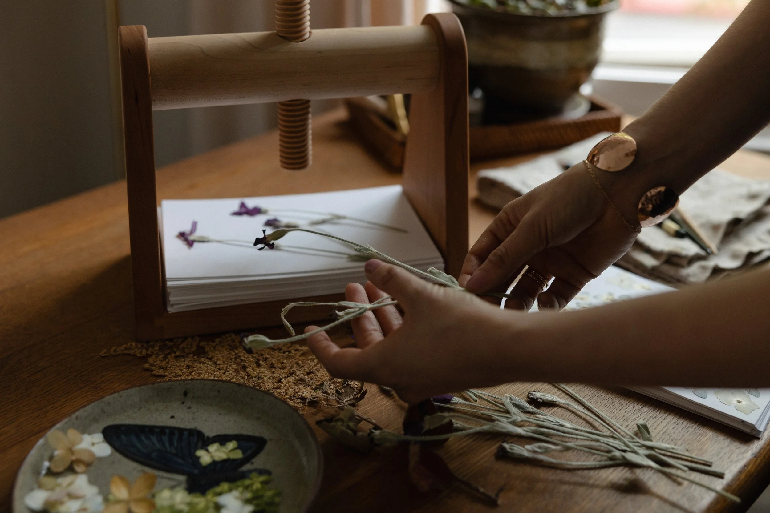 A person's hands arranging dried lavender stems on a white paper. There are dried flowers and herbs on a table, with a wooden paper stand and bowls of seeds or spices nearby.