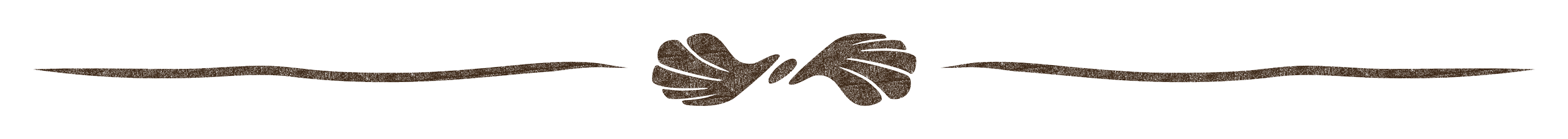 Stylized illustration of a fishing fly with brown feathers and a white body, set against a black background.