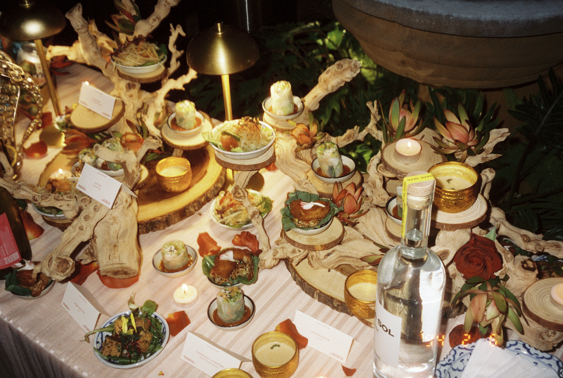 Screenshot 2026-01-28 at 12.14.55 PM.png