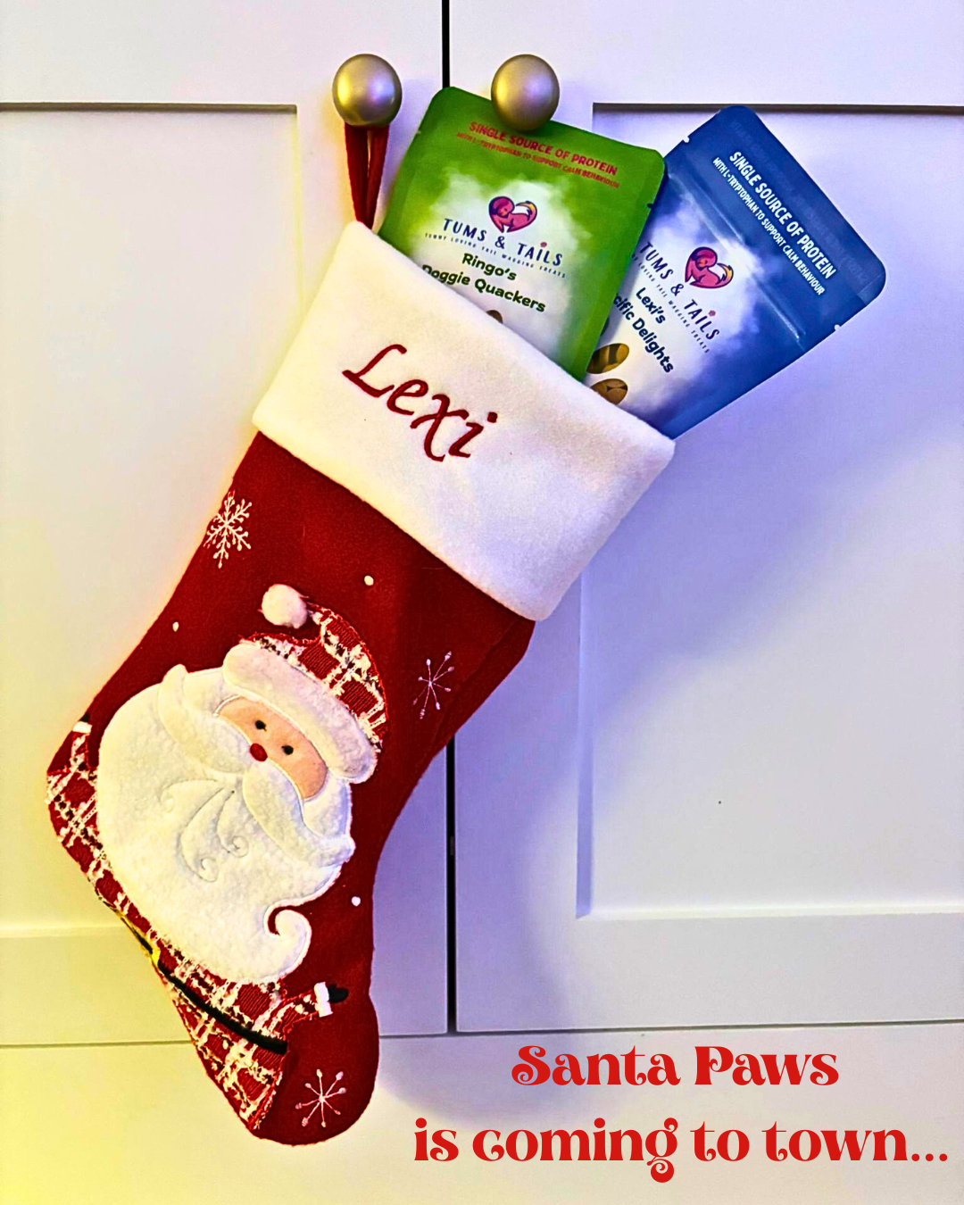 🎅🐾 Santa Paws Says: 5 Christmas Foods to Keep Away From Your Pup