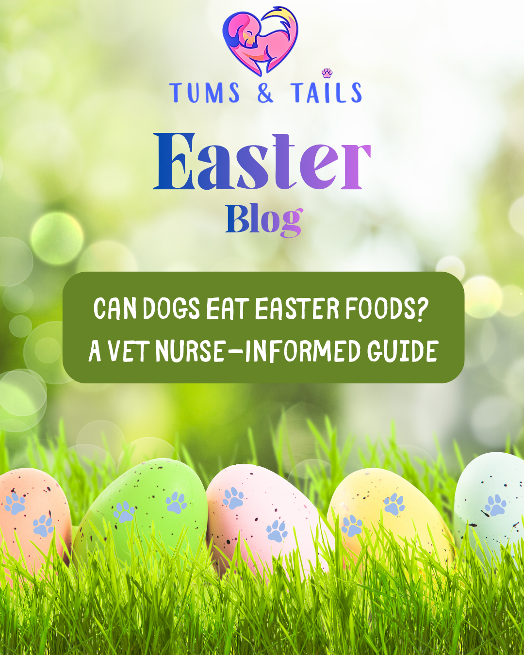 Can Dogs Eat Easter Foods- A Vet Nurse Guide