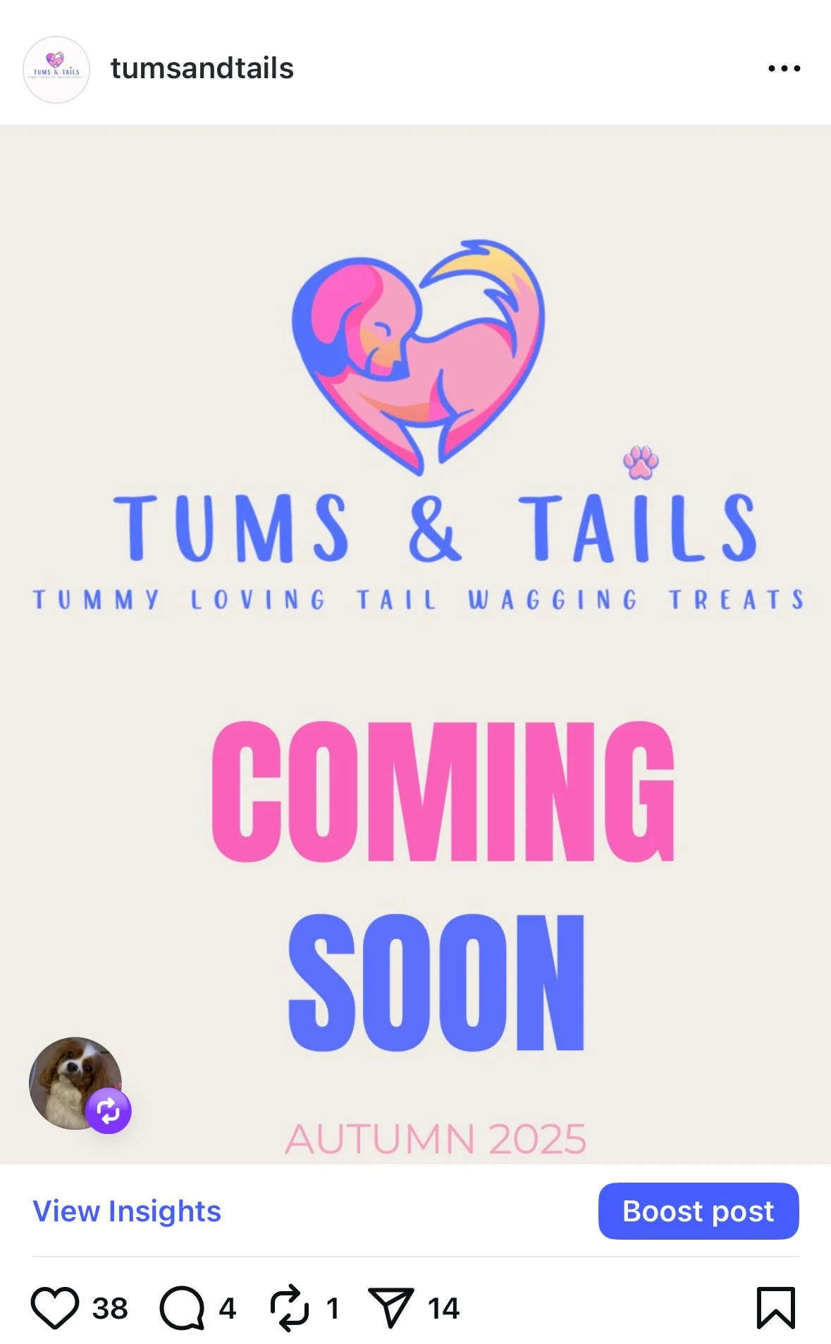 Advertisement for Tums & Tails, a company that offers wagging treats for dogs. The image features a colorful heart-shaped illustration of a dog, and text indicating a new product launching in fall 2025.