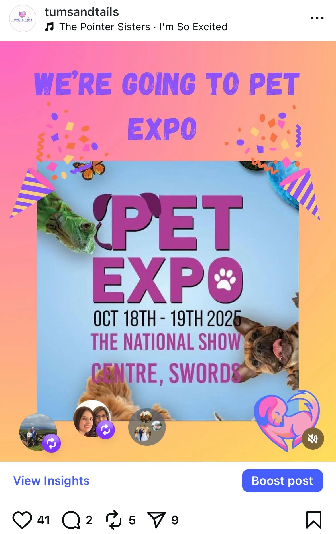 Flyer for Pet Expo event at the Centre Swords on October 18th and 19th, 2025, featuring images of a green iguana, a small brown dog, and a cartoon pink and purple puppy logo.