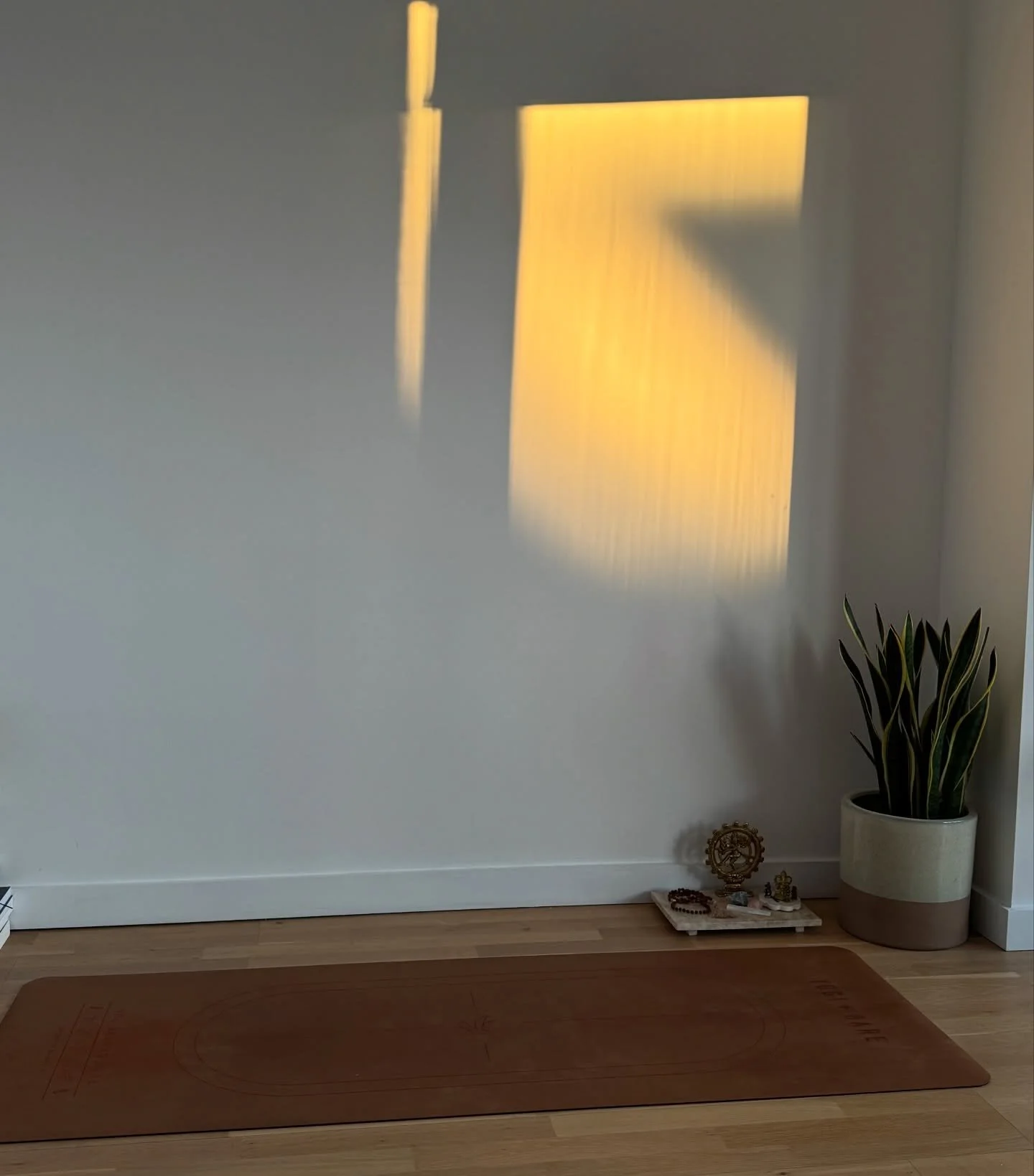 The light in this flat has absolutely saved me this winter ✨ 
Oh and practicing with Lionel Richie. 

I have a few private class spots opening if you&rsquo;d like 1:1 support message me 🫶 

I only teach group classes on the weekends Saturday 10am, S