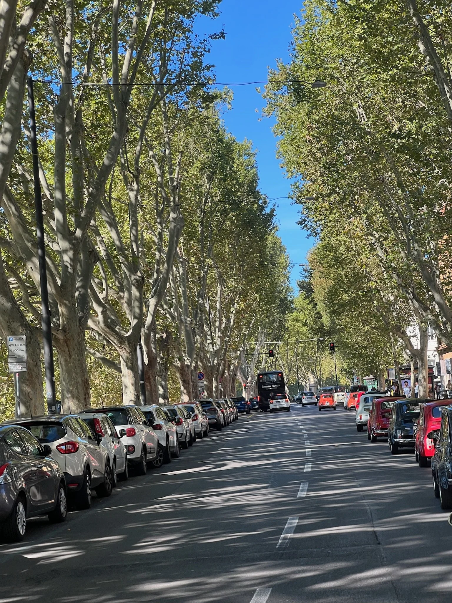 Strada trafficizzata con auto parcheggiate ai lati, alberi lunghi ai bordi con foglie verdi, cielo azzurro e semafori rossi