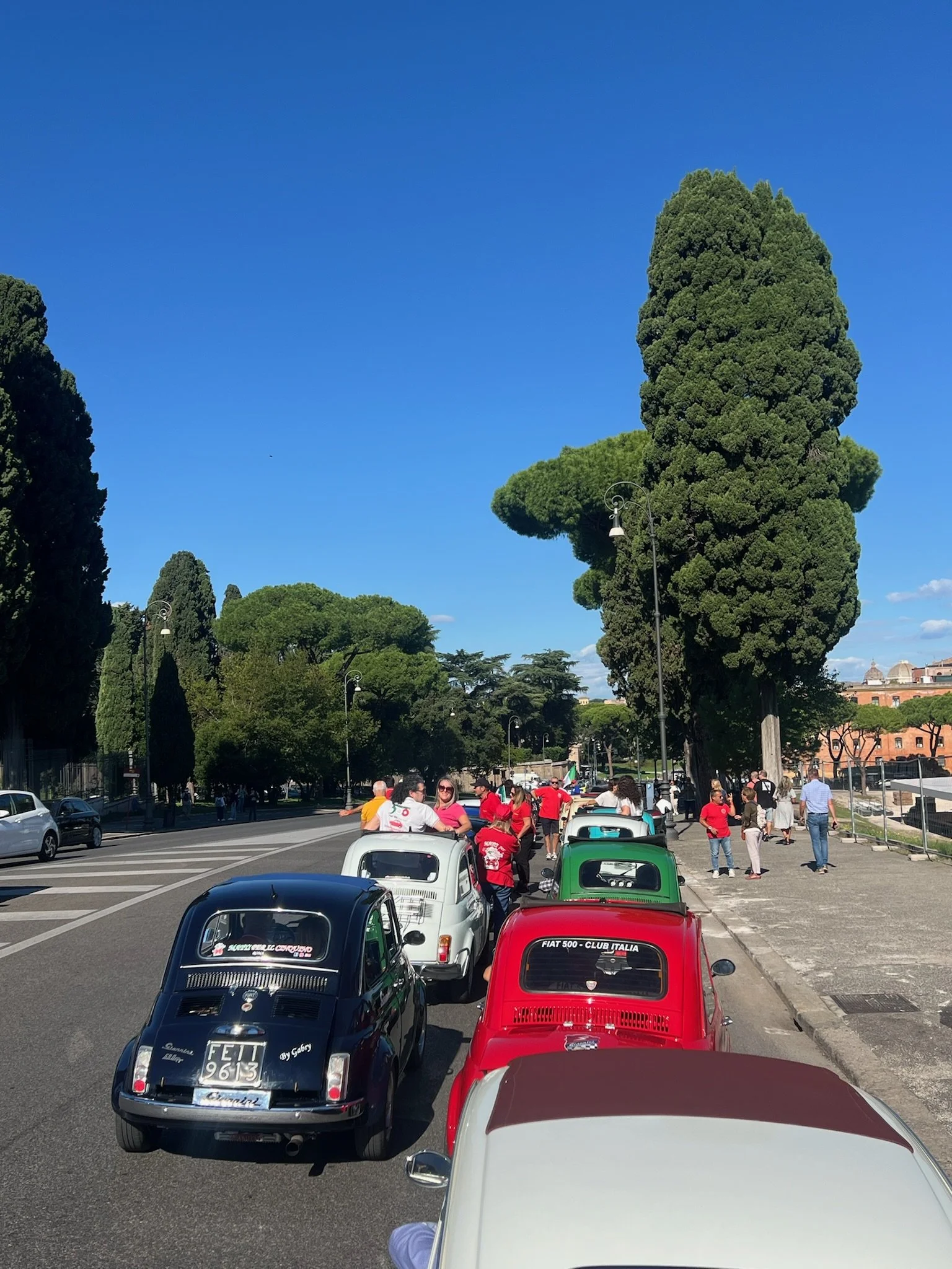 Riunione di auto d'epoca parcheggiate lungo la strada con persone che le ammirano sotto un cielo blu e uccelli in volo, alberi verdi e edifici in background.