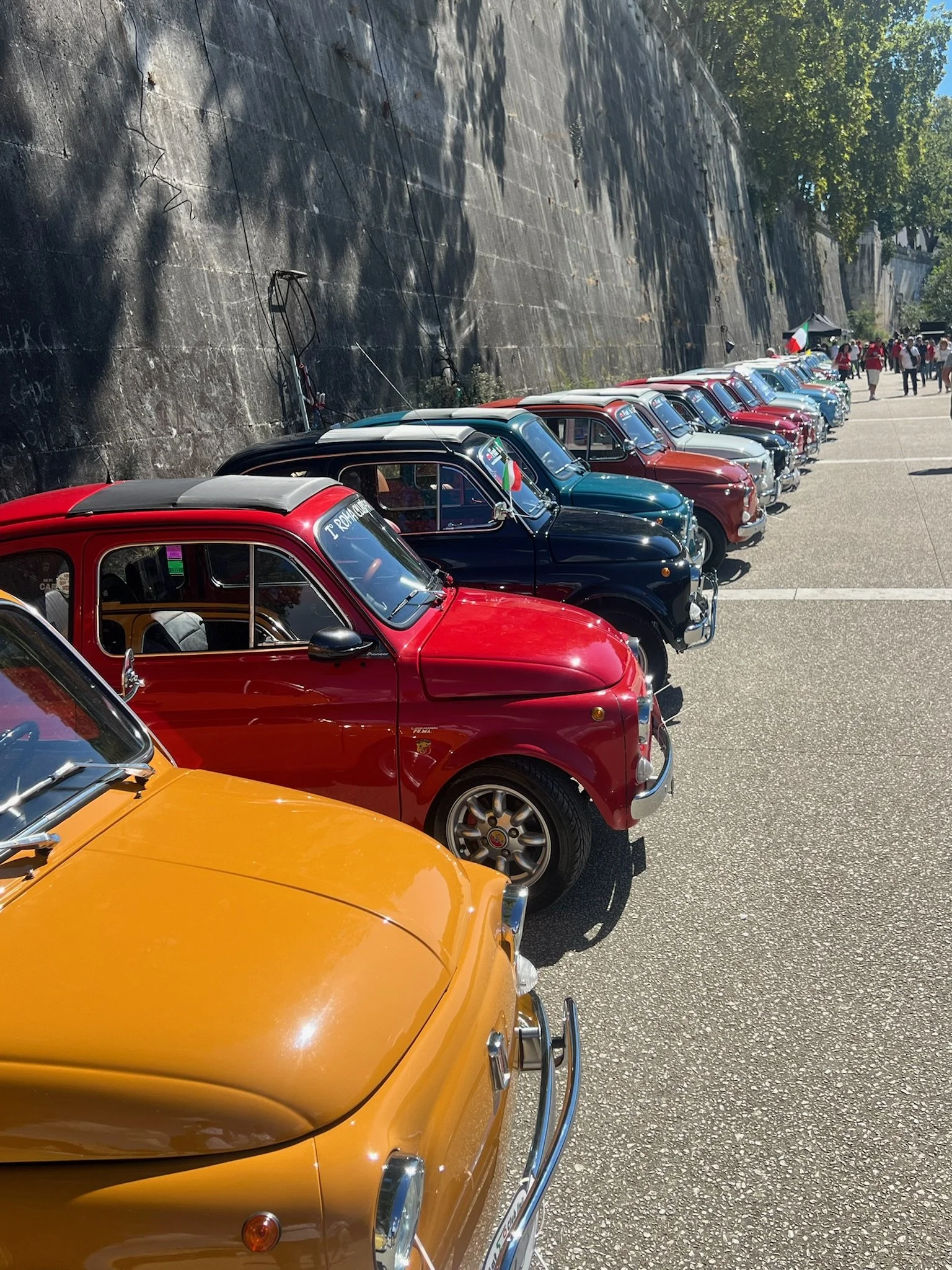 Una fila di auto d'epoca di diversi colori parcheggiate lungo un muro di pietra sotto alberi, in una giornata di sole.