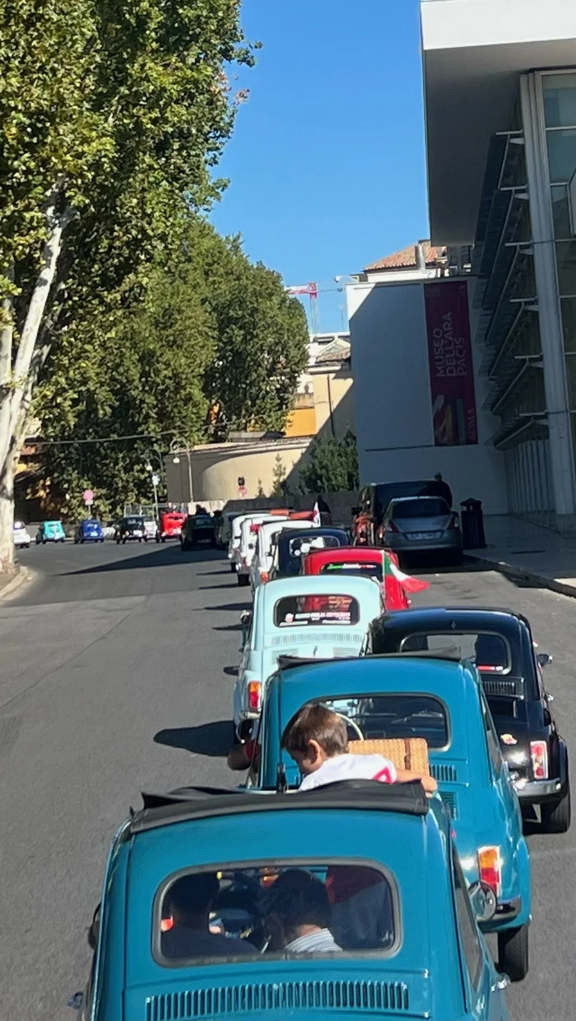 Fila di auto d'epoca blu, bianca, e nera parcheggiate lungo la strada, con alcuni bambini seduti sui veicoli, circondata da alberi e edifici moderni, sotto un cielo azzurro.