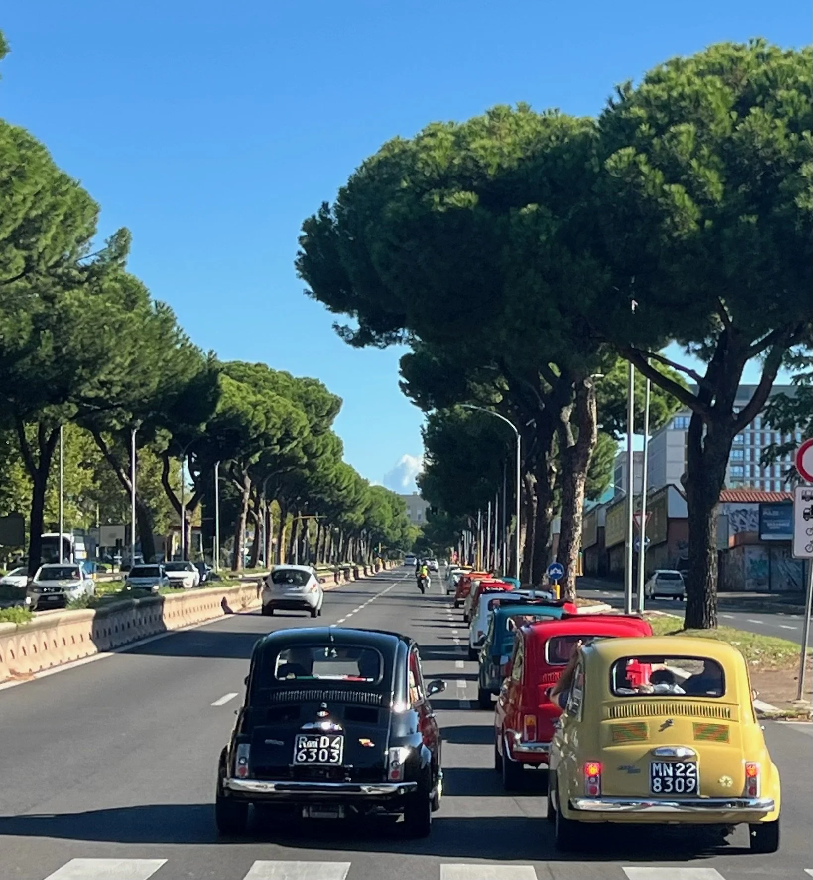 Strada trafficata con auto colorate e grandi alberi lungo il lato, cielo azzurro