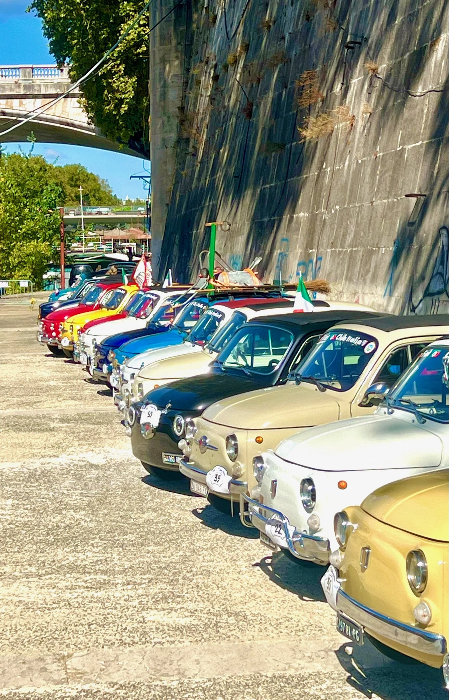 Line up di auto d'epoca di vari colori, parcheggiate uno accanto all'altro in un'area all'aperto.