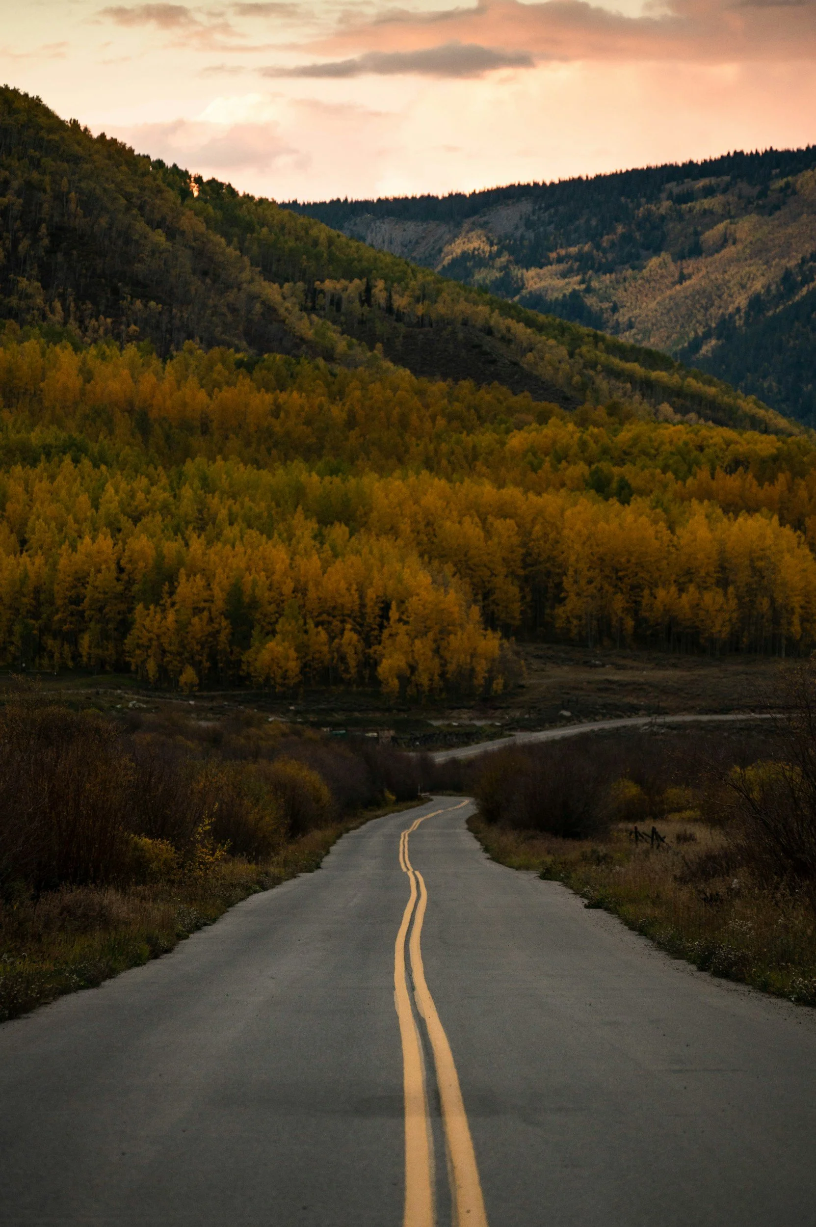 A long winding mountain road surrounded by fall colored trees.