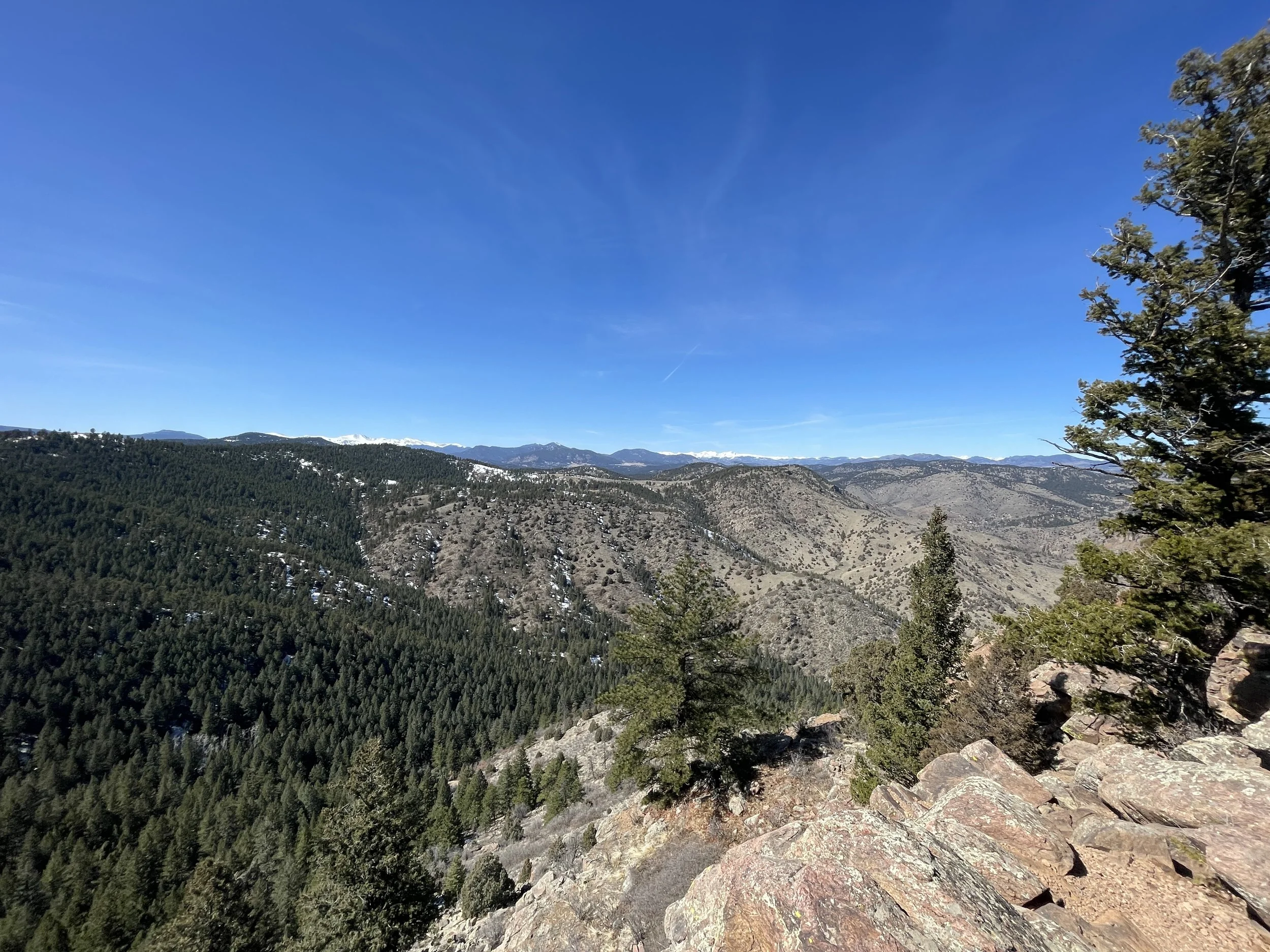 Colorado mountain view with pine trees, rocky terrain and snow peaks in the distance.
