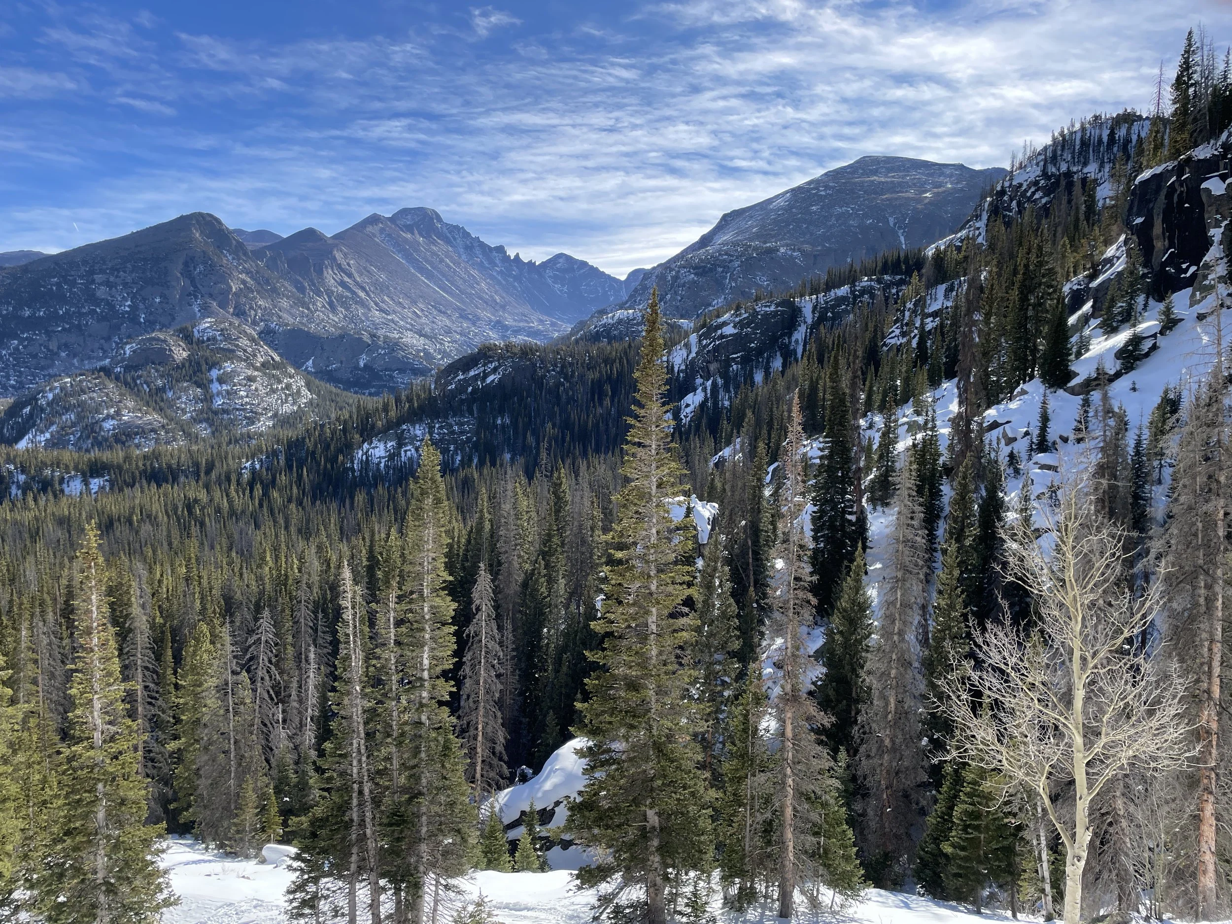 Rocky mountain range featuring long's peak, snow covered forest floor and pine trees.