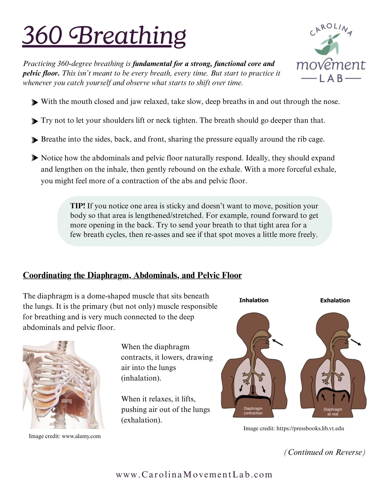 Thumbnail image of handout