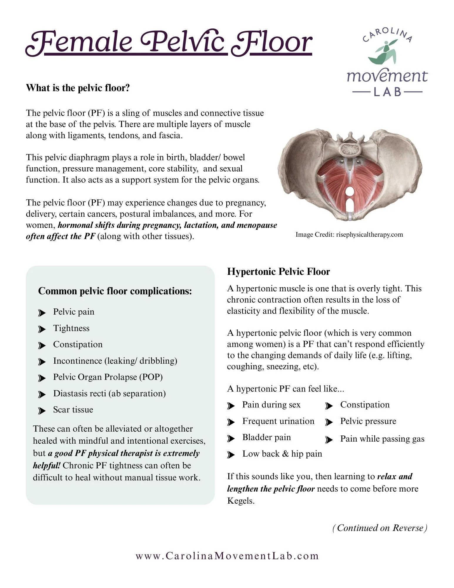 Thumbnail image of handout