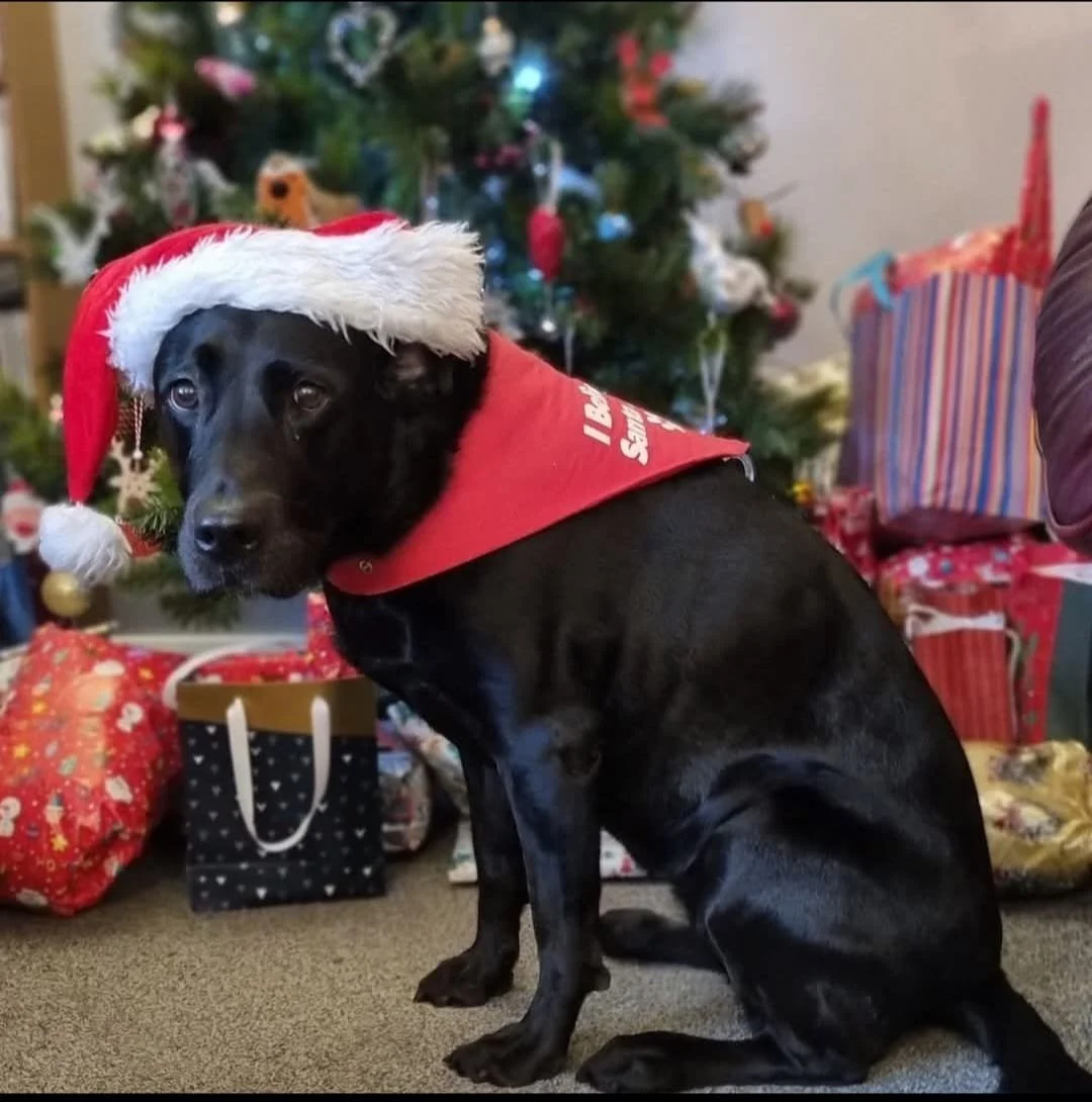 Merry Christmas - Is It?