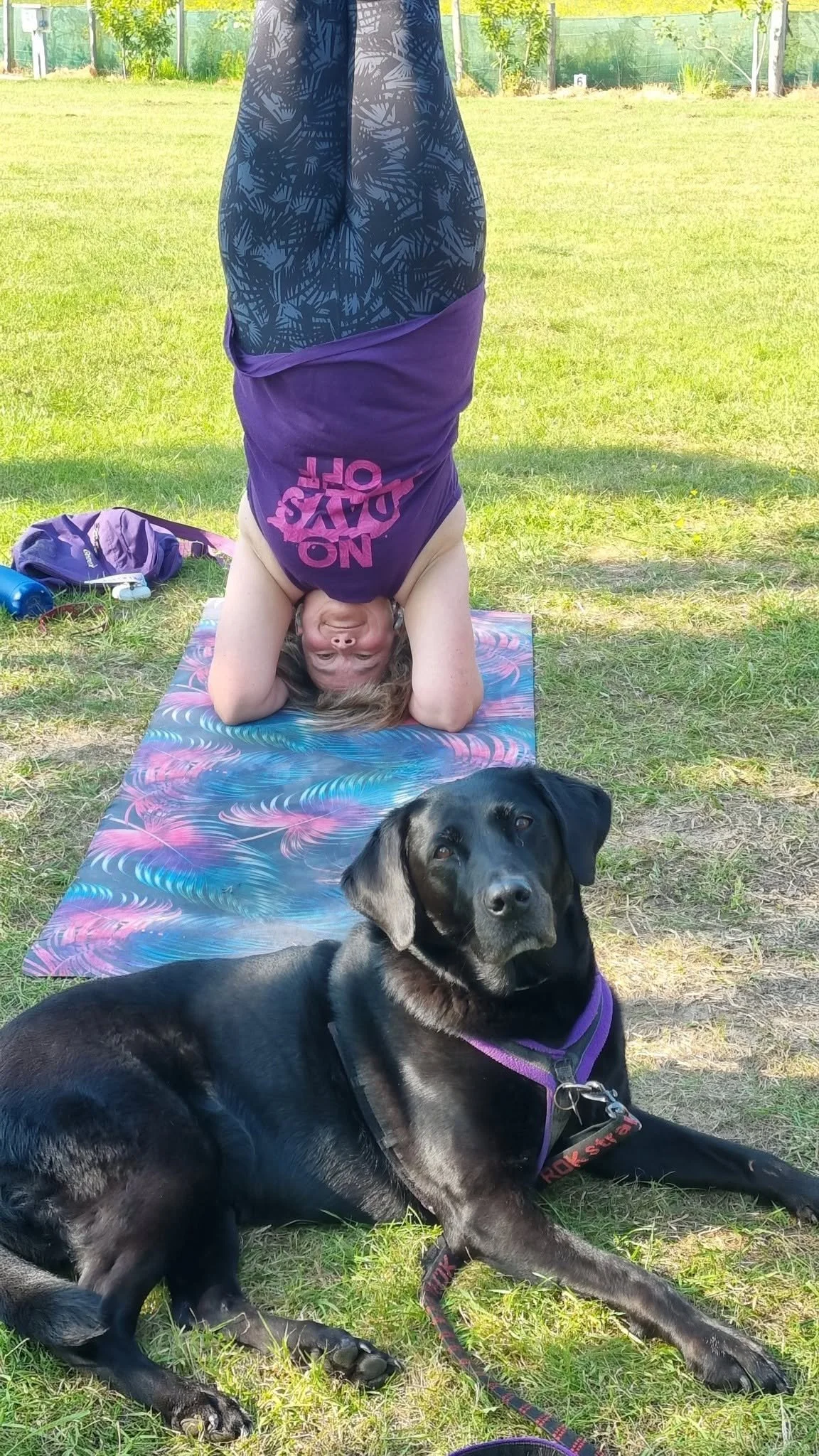 Upside Down