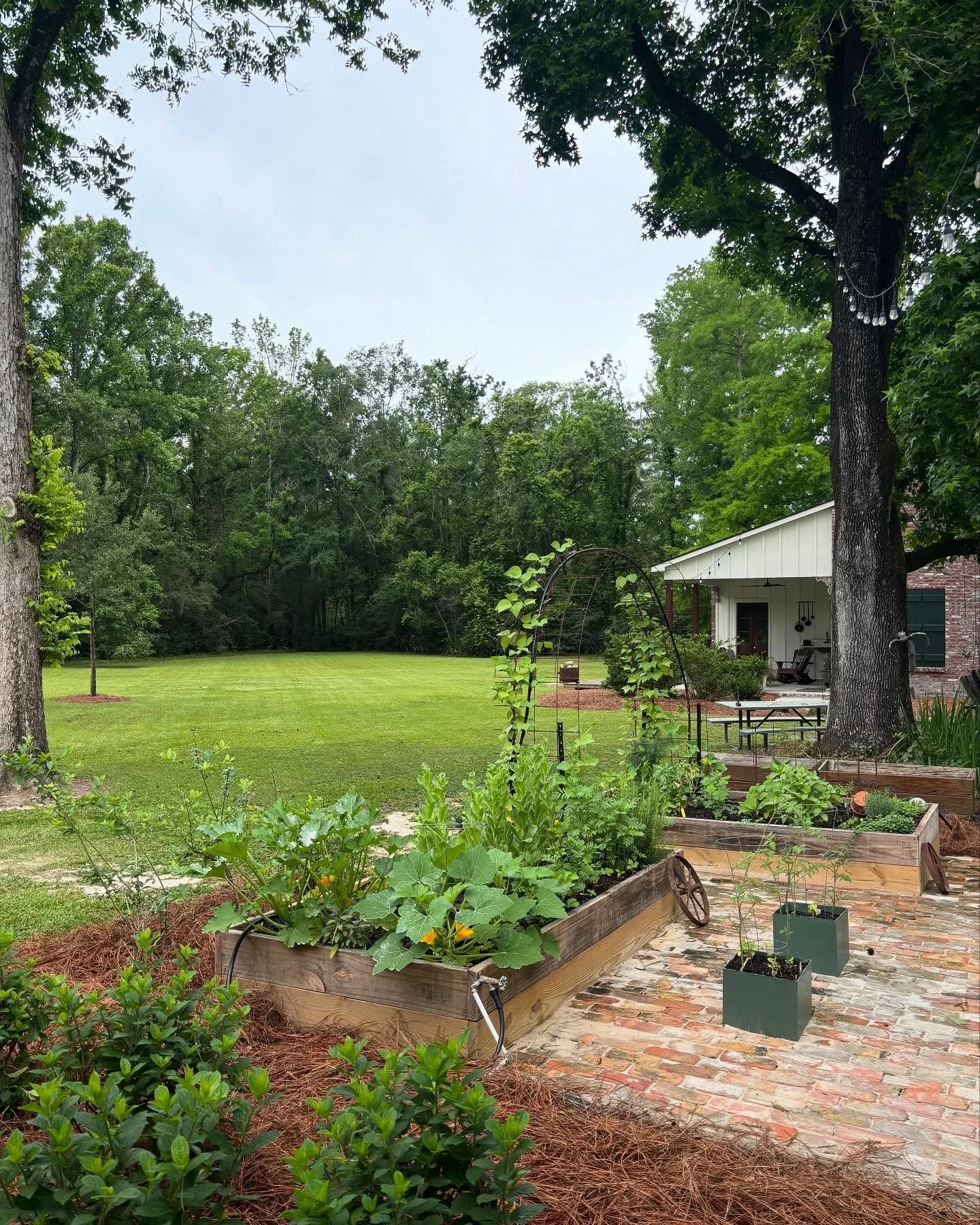 Tell me your favorite season without telling me your favorite season!

#garden 
#landscaping 
#home