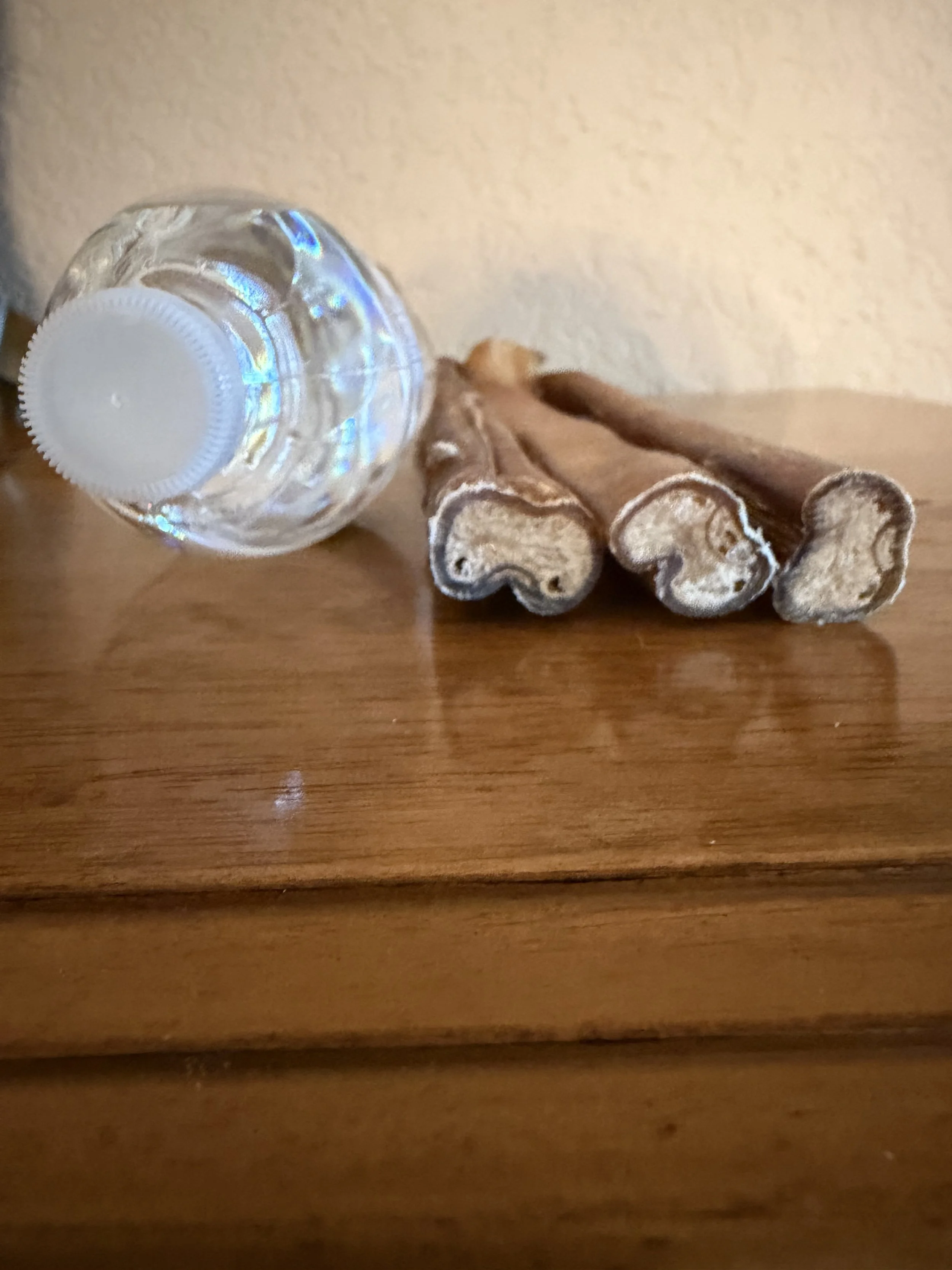 image12.jpeg