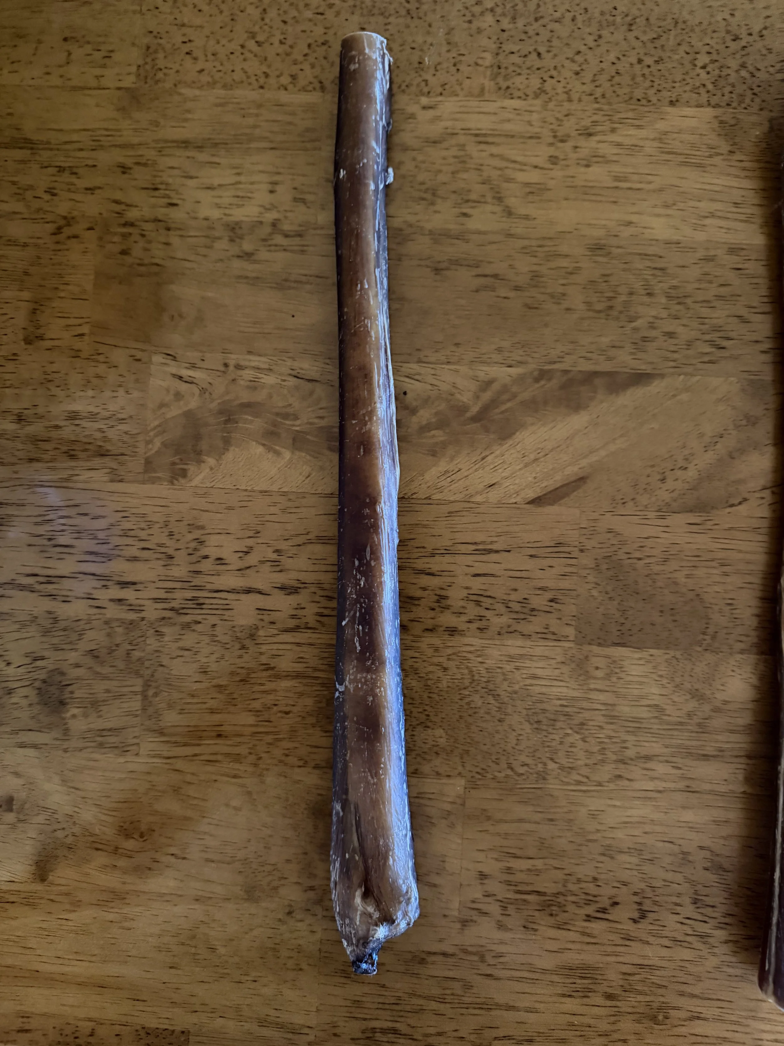 12 in Jumbo Straight Bully Stick K9 Chew
