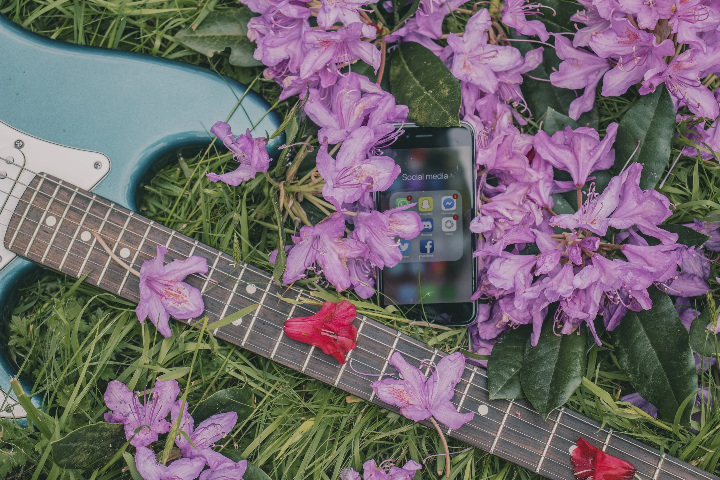 AVFlowers_01.JPG