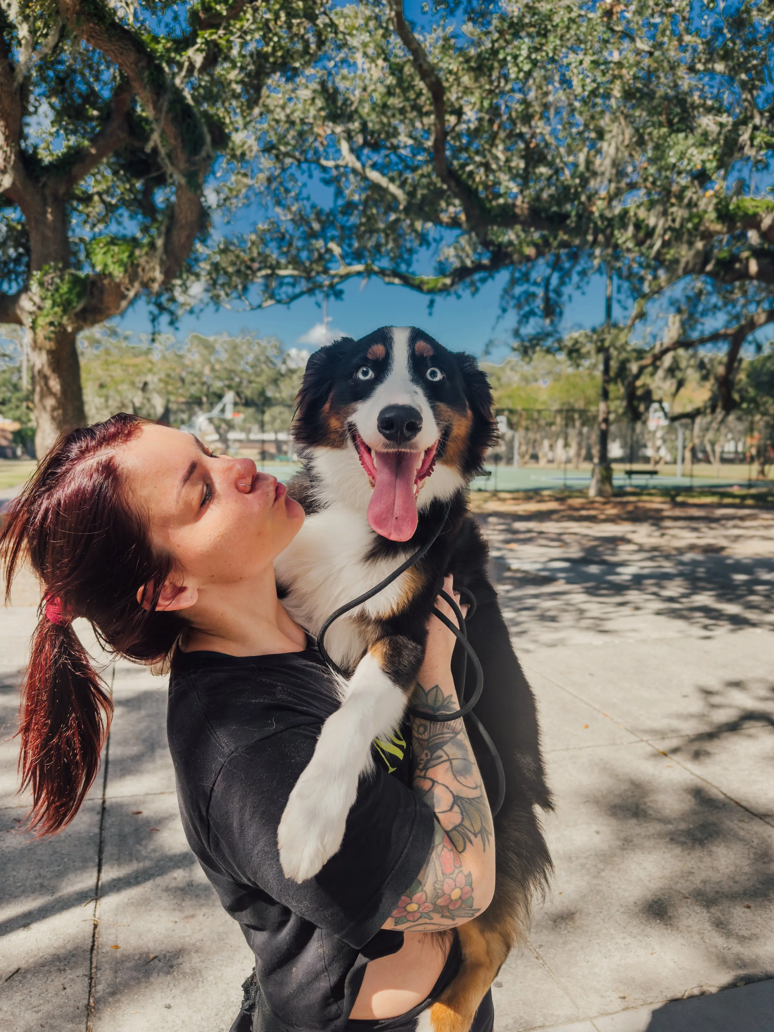 A woman with red hair and tattoos holding a happy Australian Shepherd dog outdoors in a park with trees and blue sky.