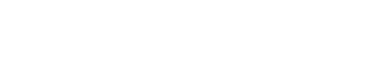 NUS Consulting Group