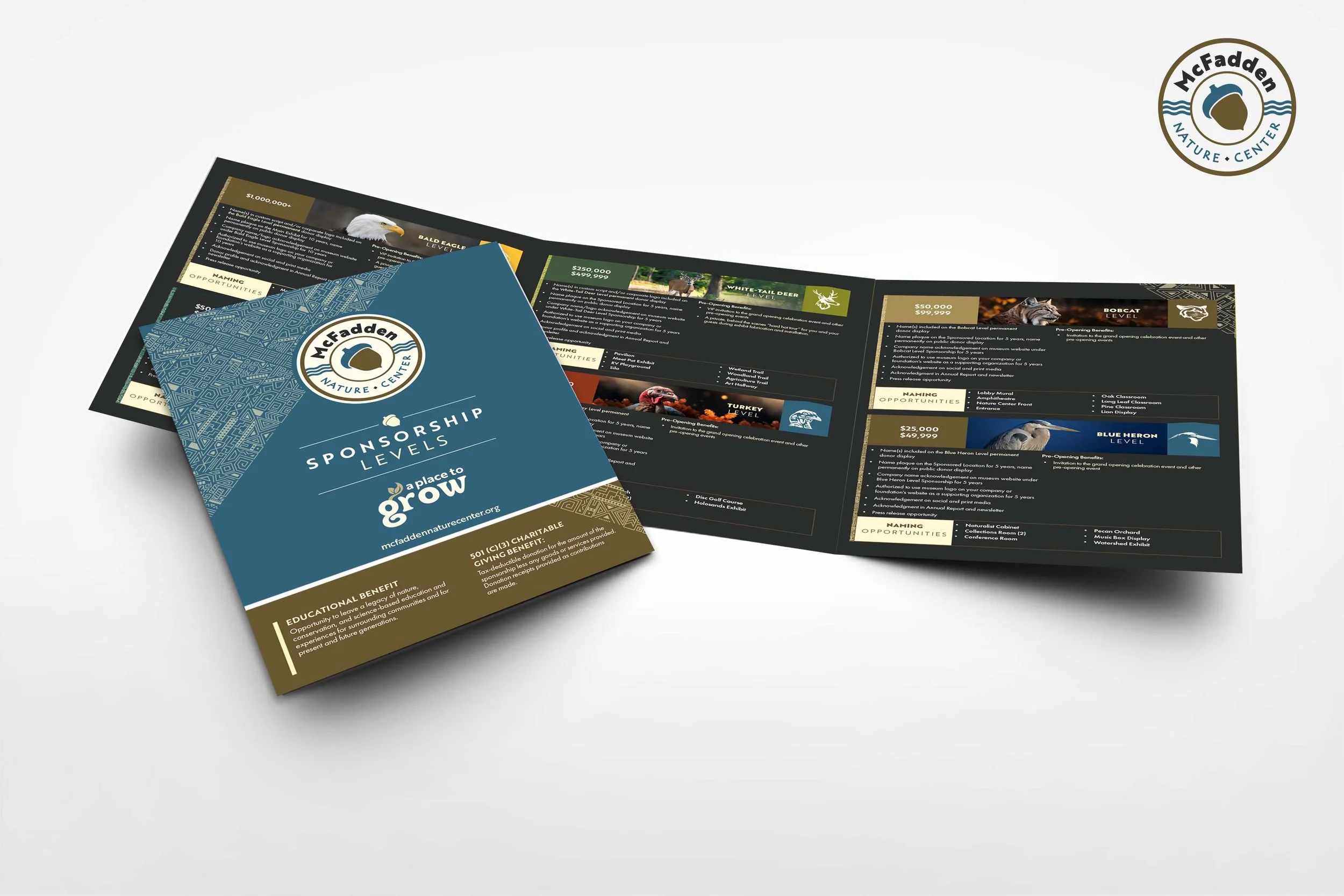 McFadden sponsorship mockup.jpg
