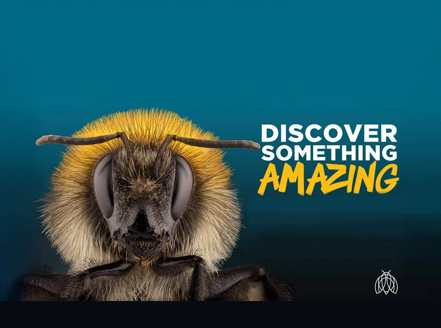 Cook Museum screen.jpg