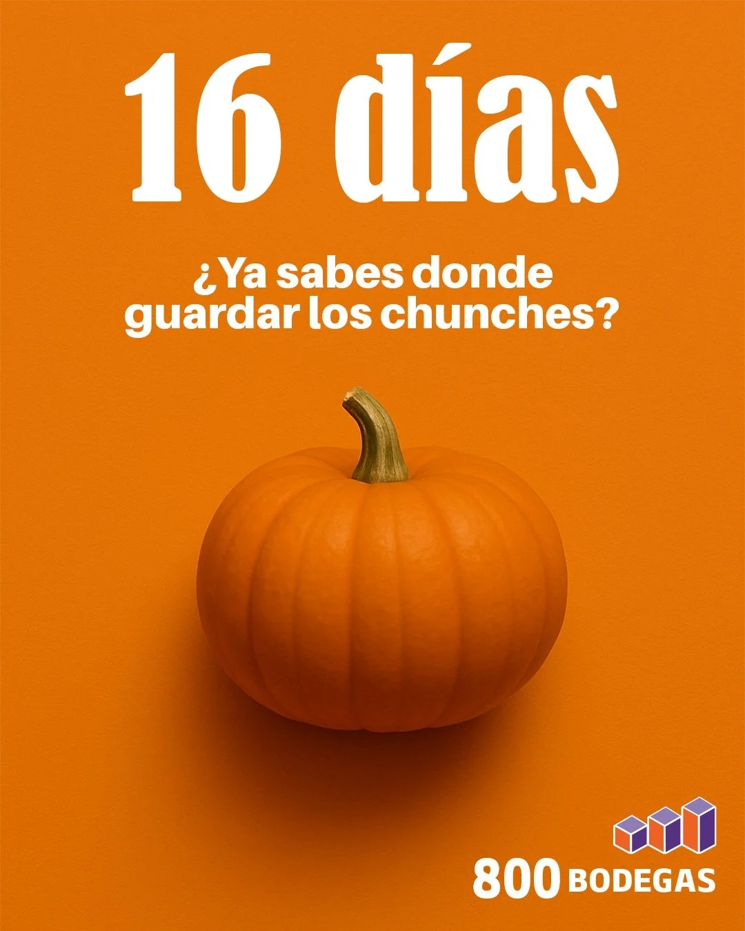 &iexcl;Solamente quedan 16 d&iacute;as para Halloween!

&iquest;Y qu&eacute; pasa cuando termine? &iquest;A d&oacute;nde van todas las decoraciones y disfraces?

&iexcl;NO SE PEGUE EL SUSTO! 

🟠🟠🟠

Cont&aacute;ctenos:
● https://800bodegas.com
● in