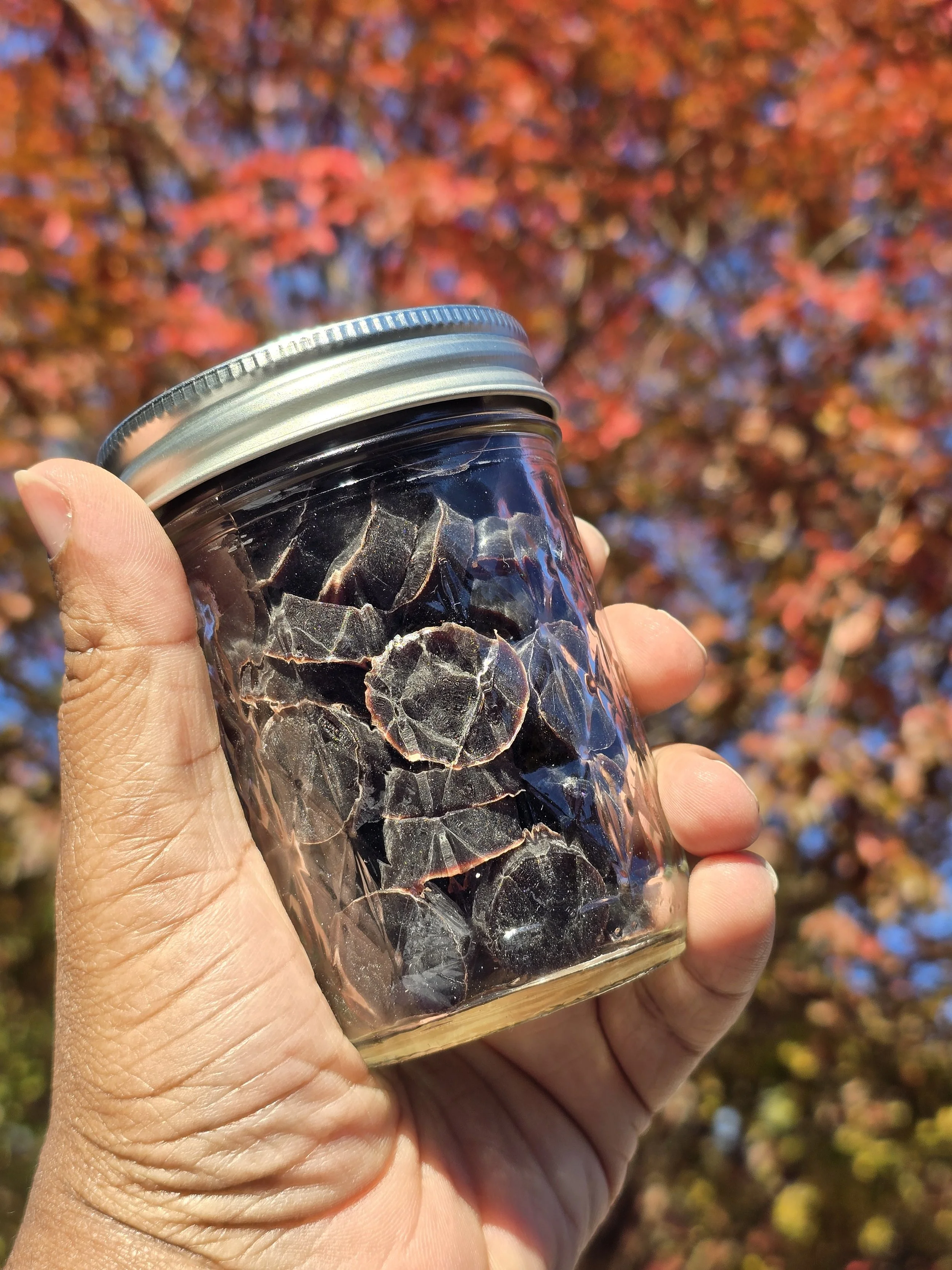 Elderberry Gummies