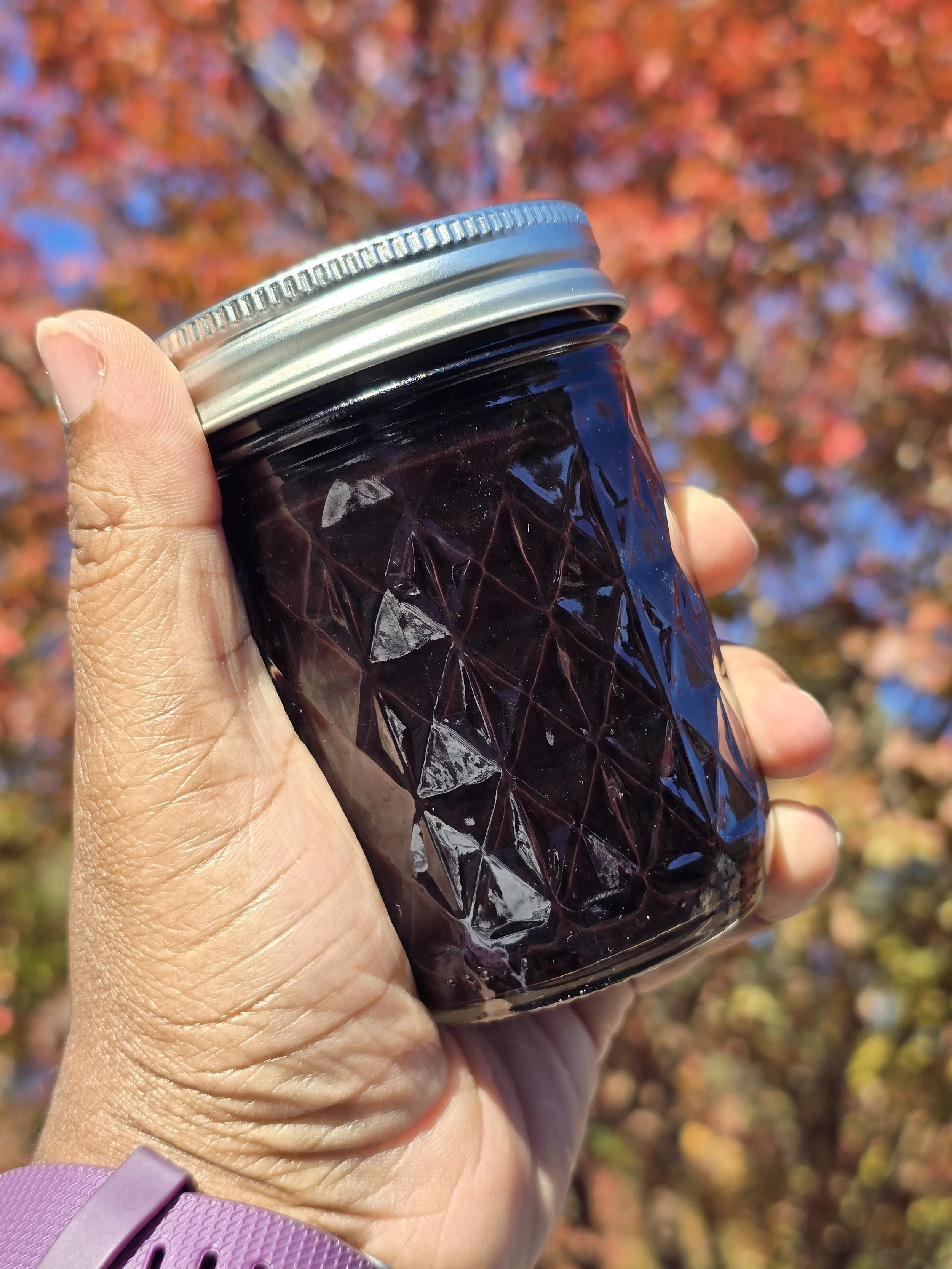 Elderberry Syrup