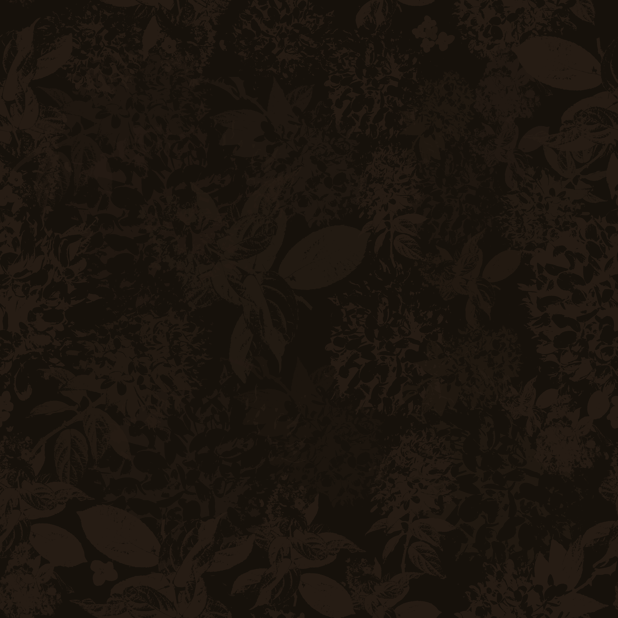 Old Hydrangea — Tonal Chocolate Botanical.png