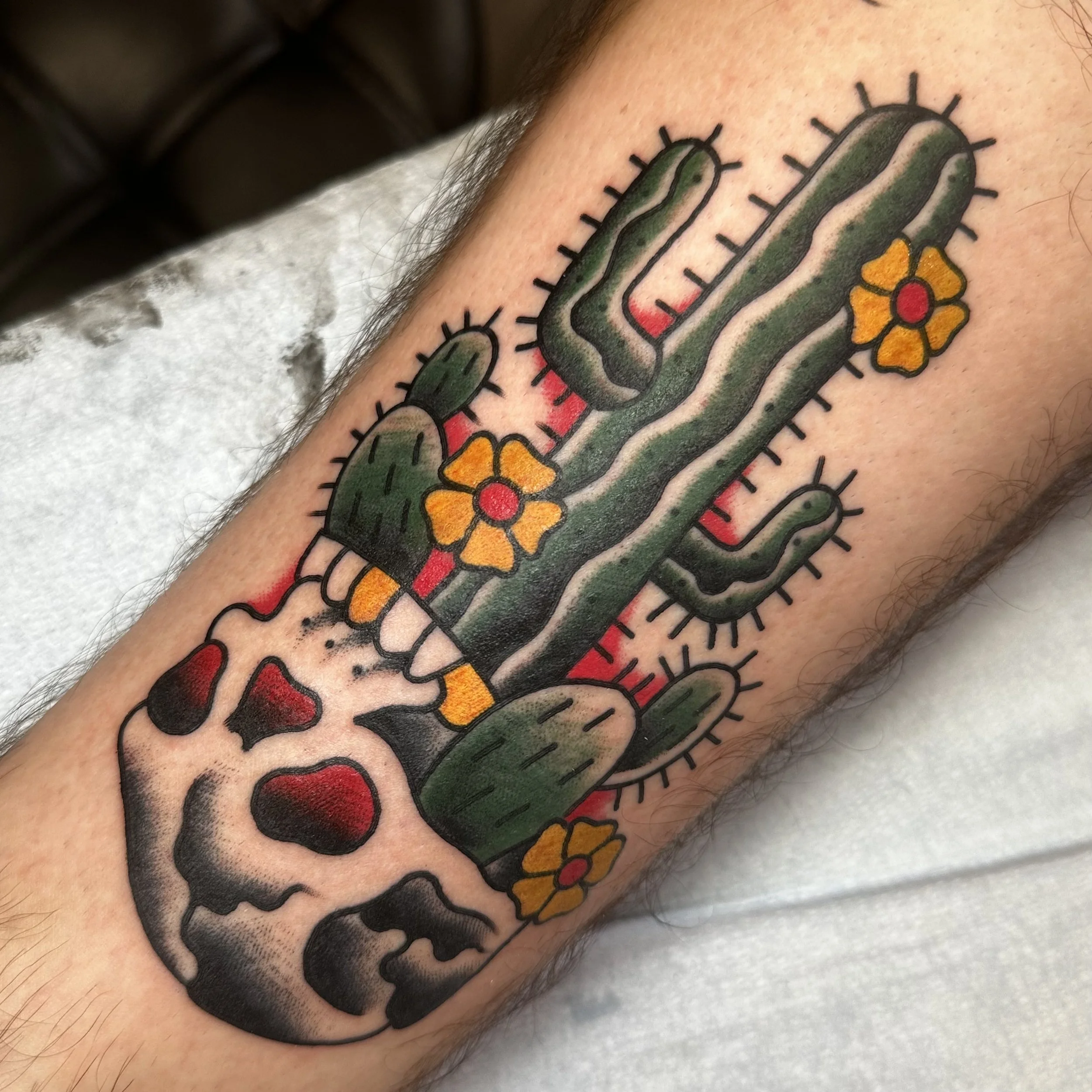 Cactus Tattoo by traditional tattoo artist Jeff Young in San Diego, CA