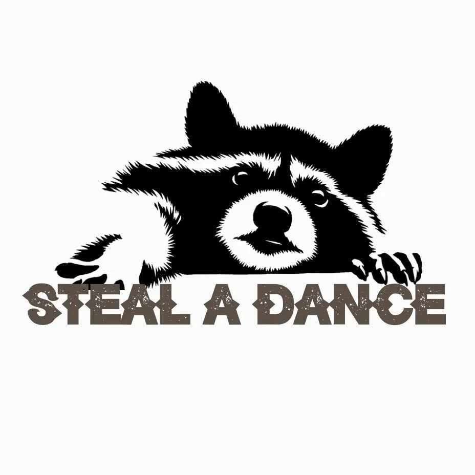 Illustration of a raccoon peeking out over the text 'STEAL A DANCE' in bold letters.