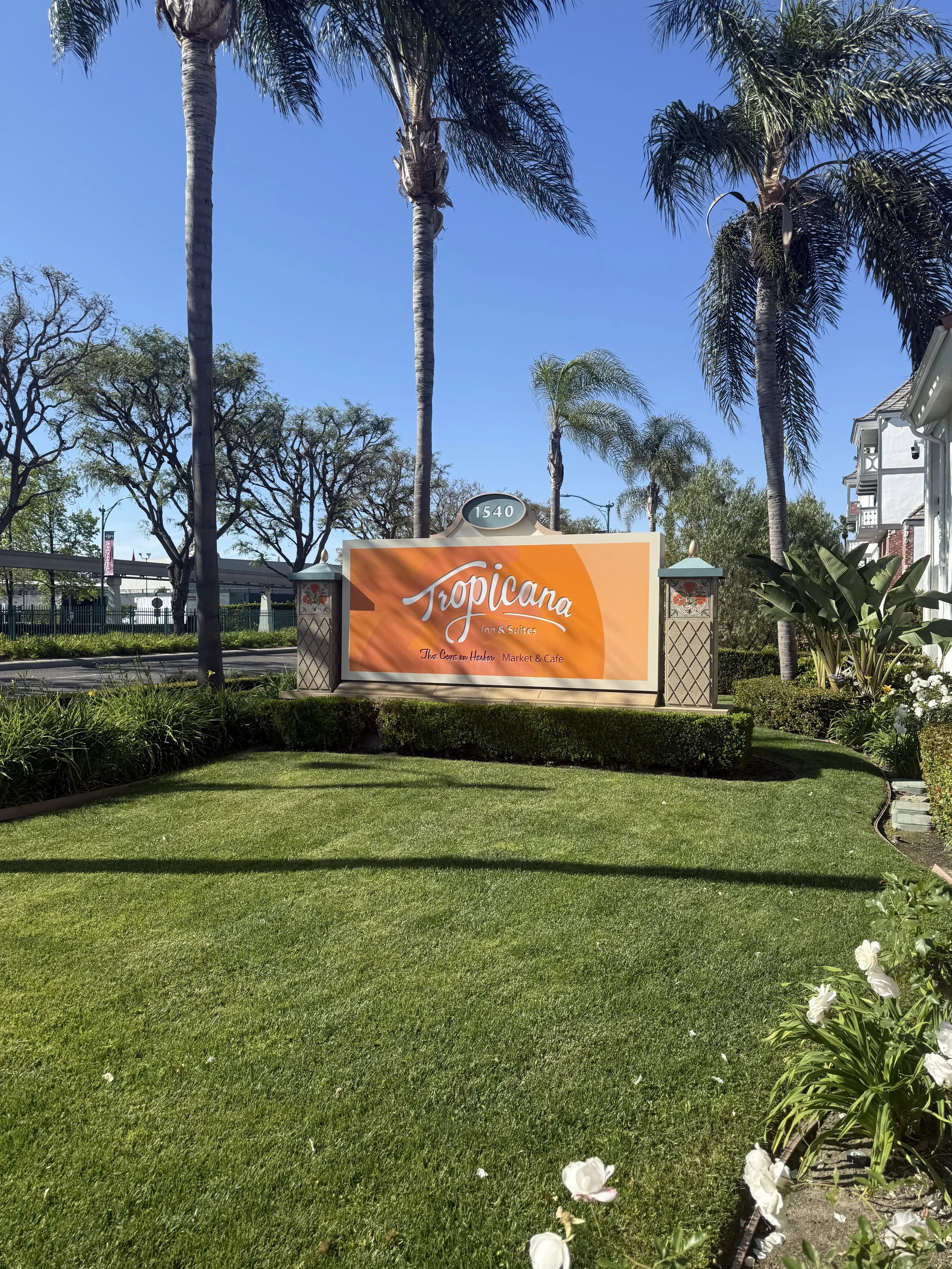 Sign for Tropicana Inn & Suites with a tropical landscape of palm trees, green grass, and flowering bushes under a clear blue sky.