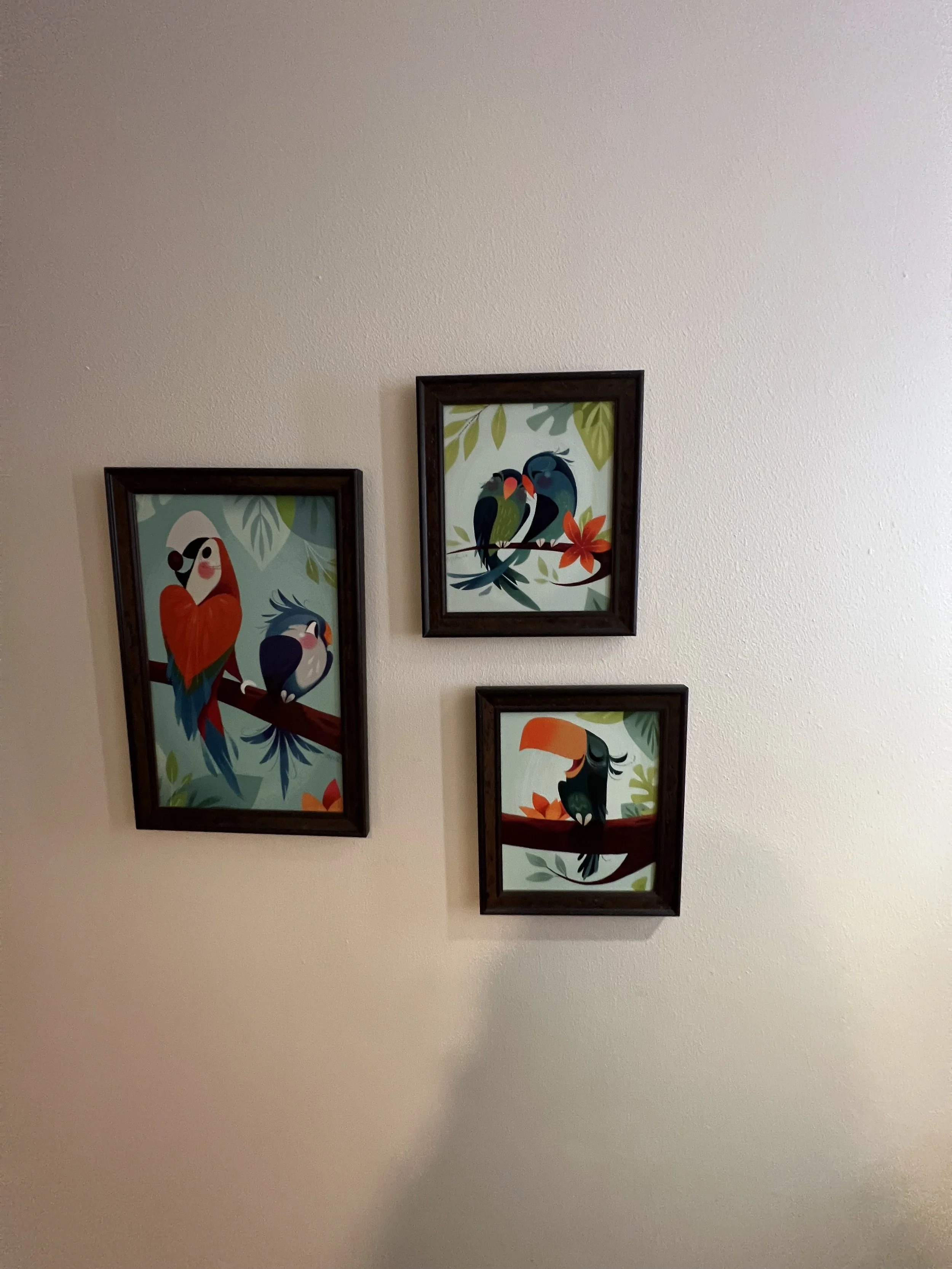 Set of three framed colorful illustrations of tropical birds on a white wall.