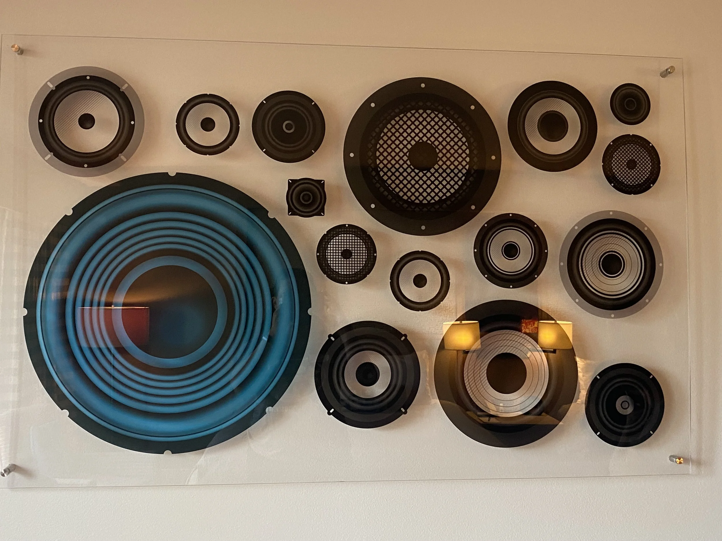A wall display of various sizes of black and blue speaker cones mounted on a white background.