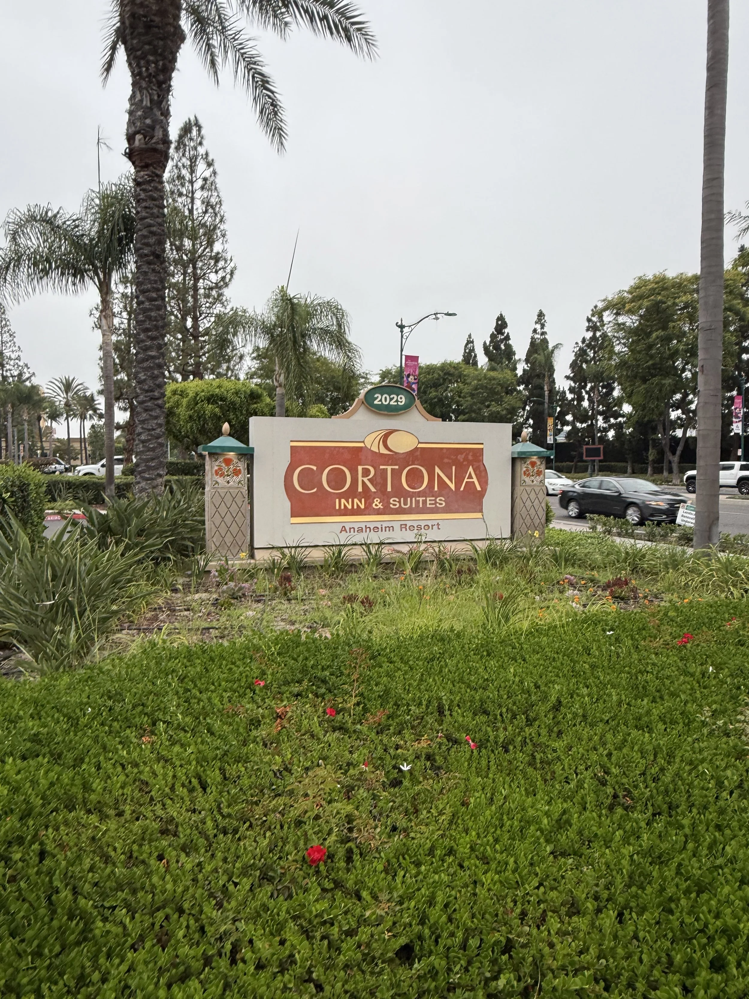 Sign for Cortona Inn & Suites, Anaheim Resort, surrounded by greenery and palm trees, with cars on the street in the background.